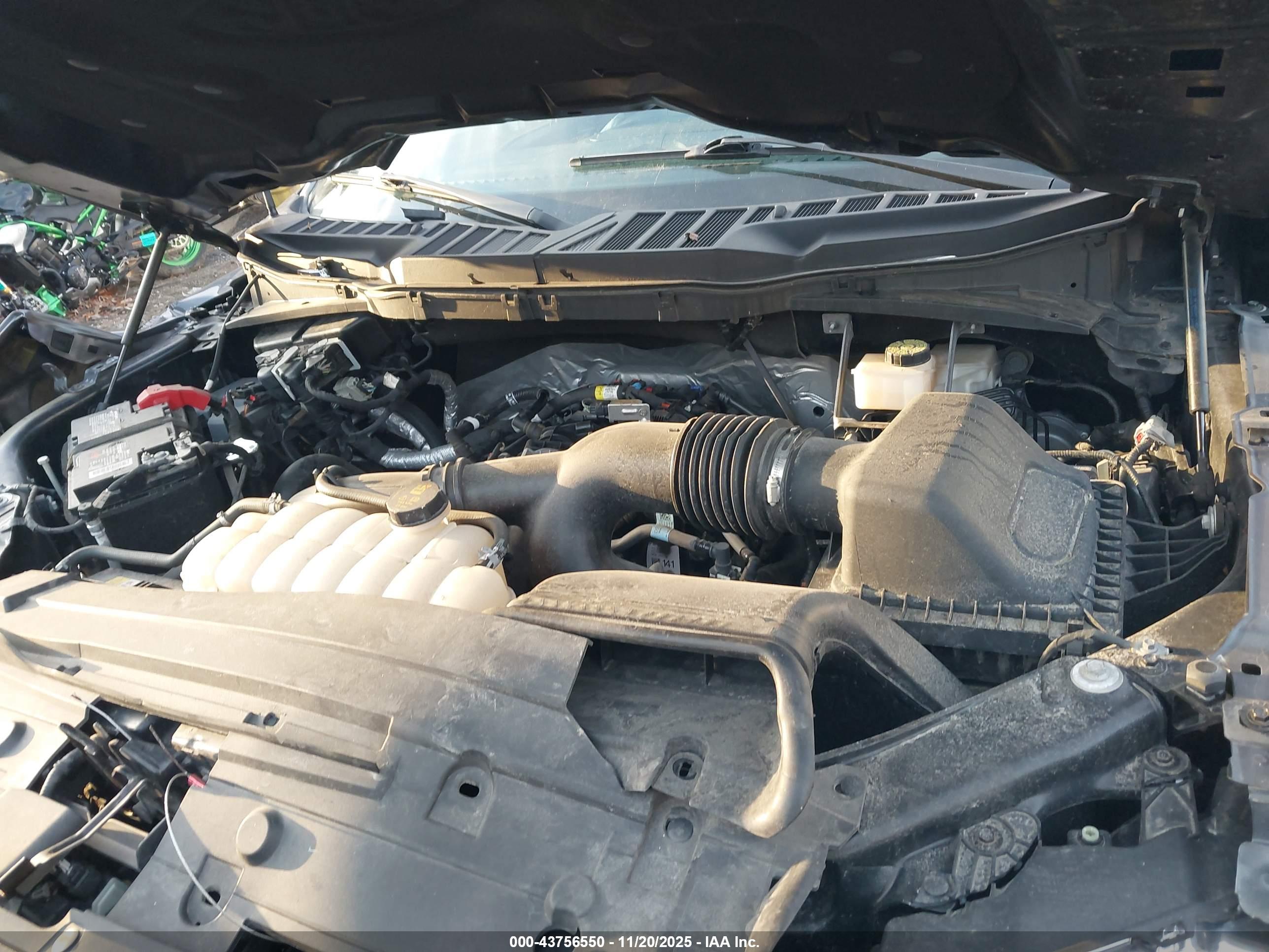 FORD F-150 image 10