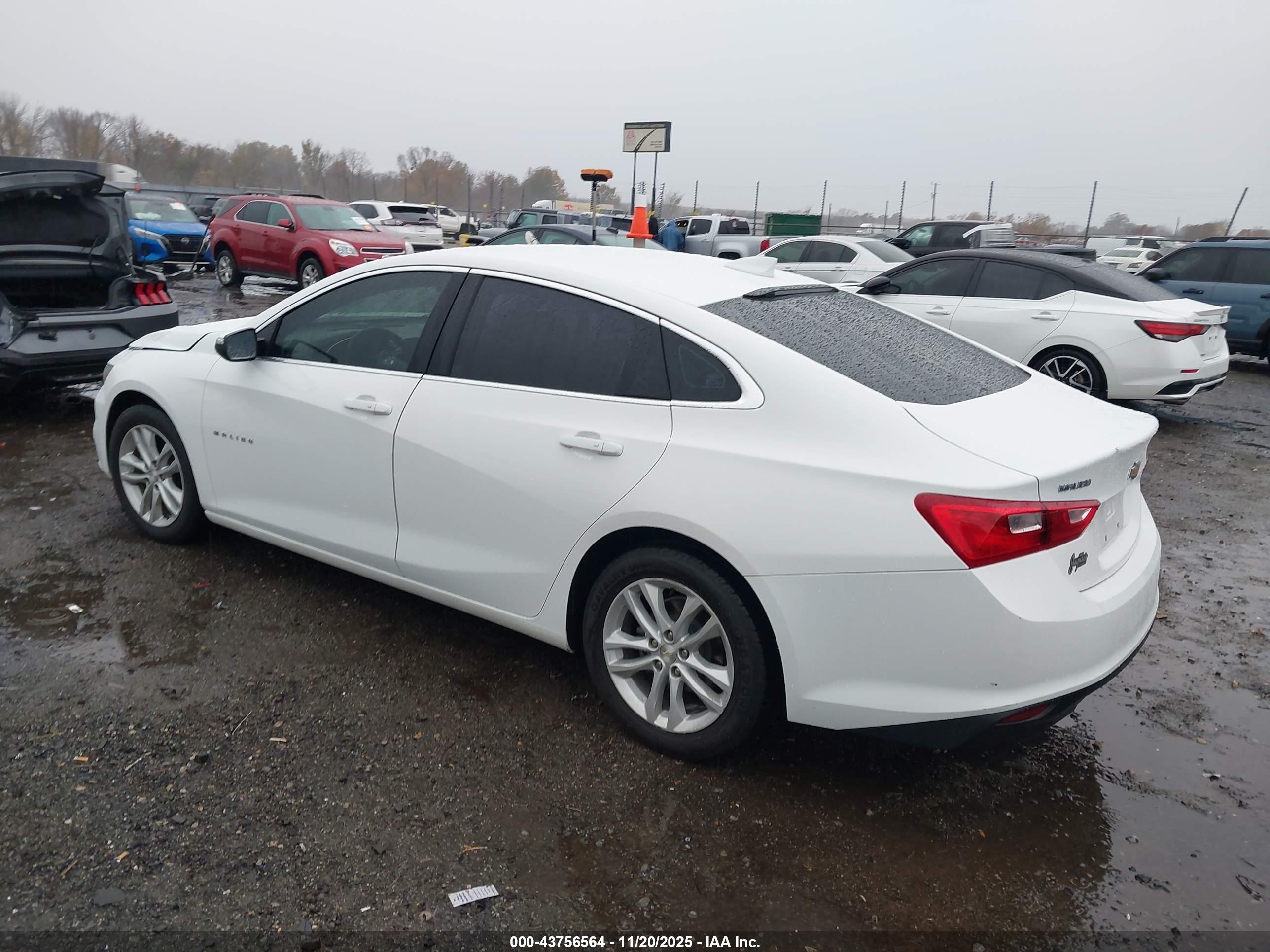 CHEVROLET MALIBU image 3