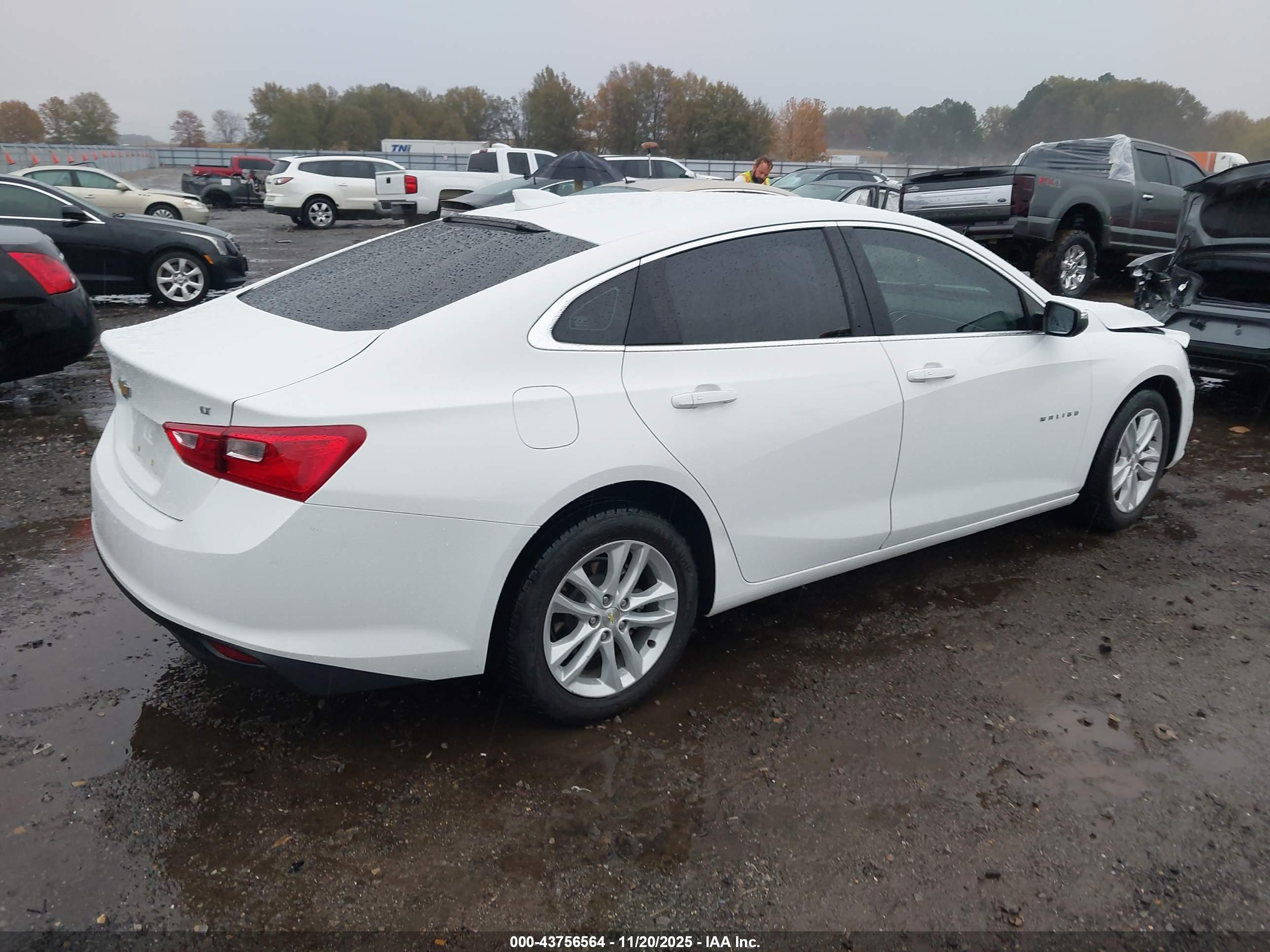 CHEVROLET MALIBU image 4