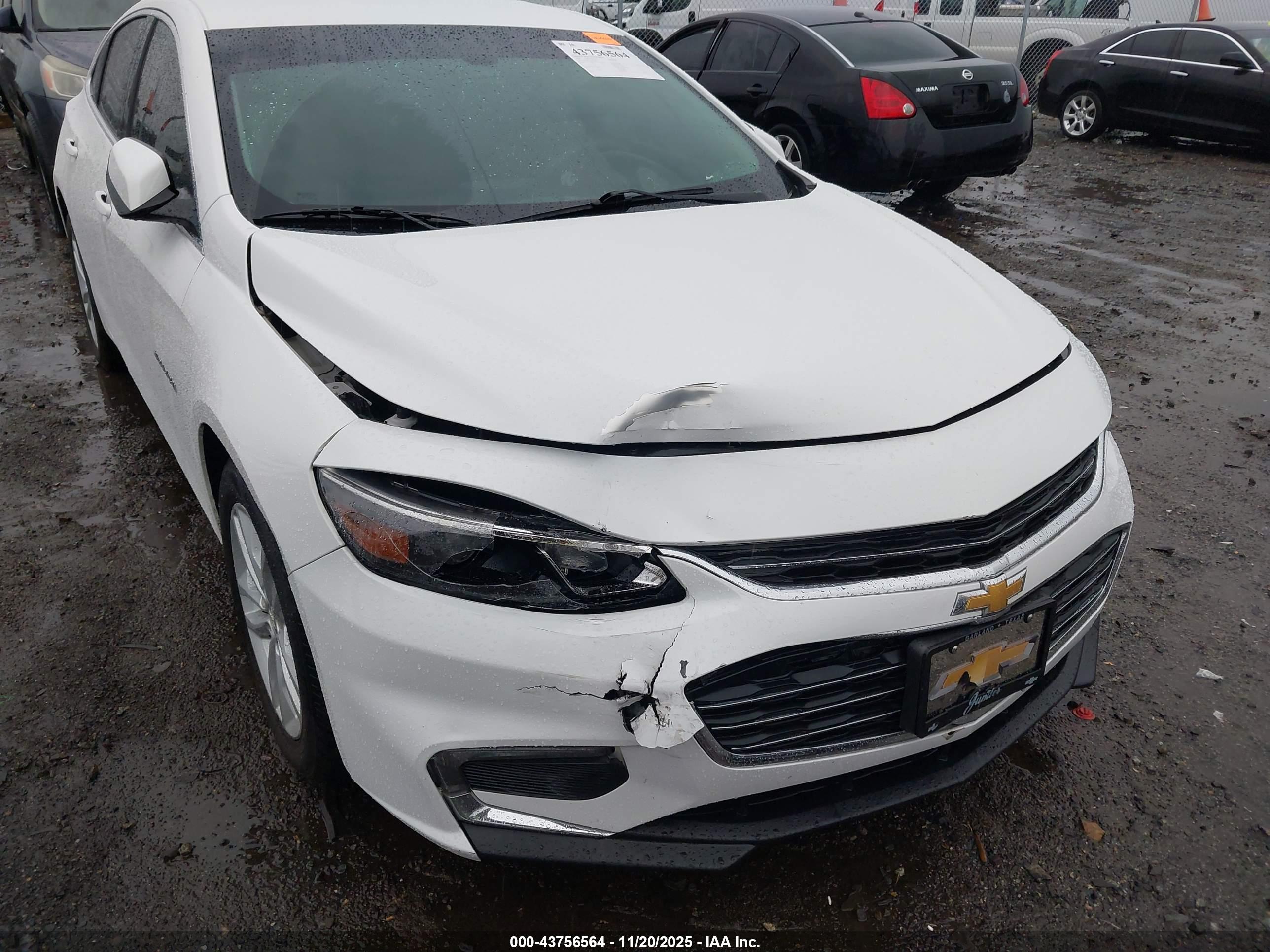 CHEVROLET MALIBU image 6