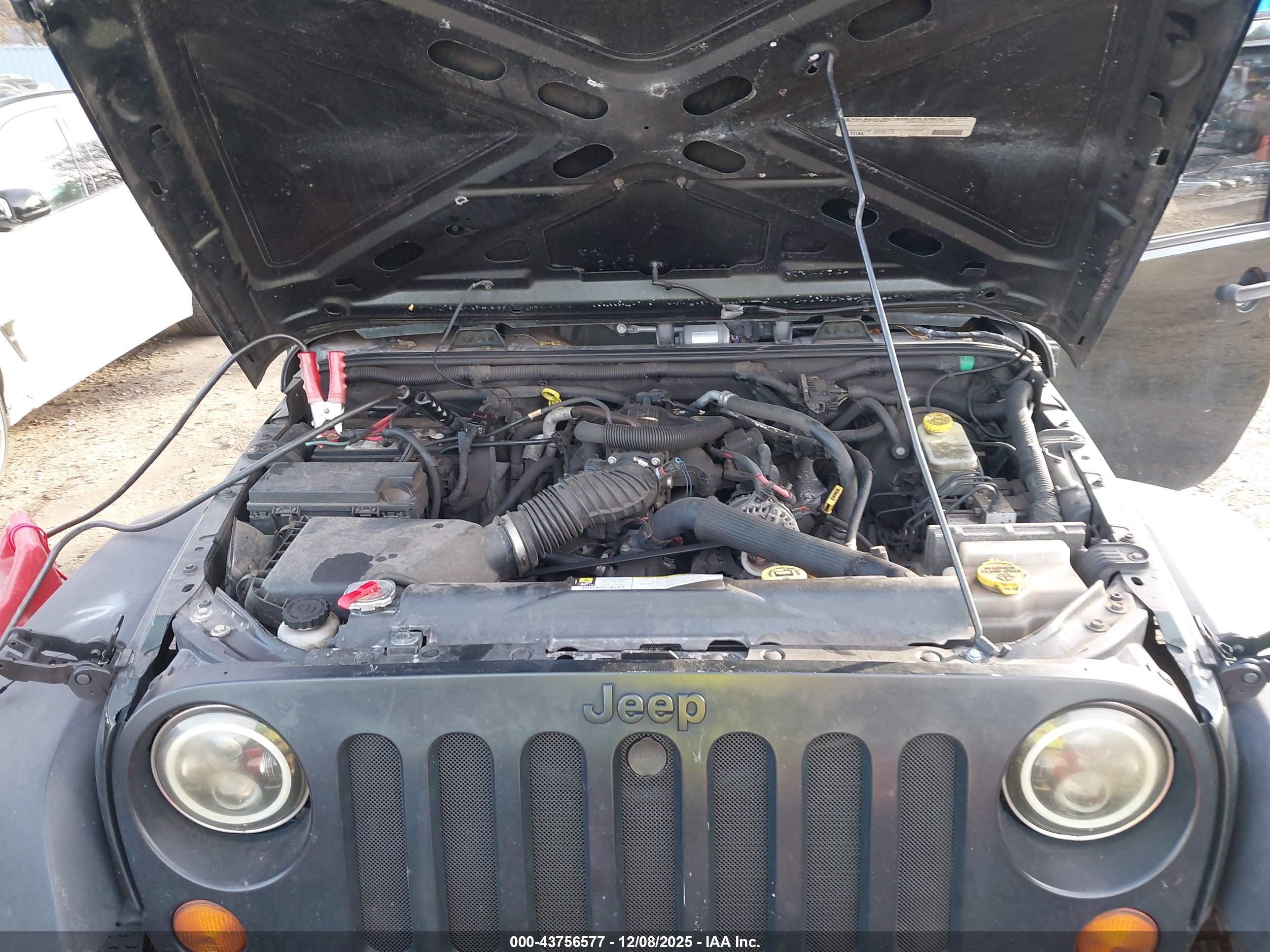 JEEP WRANGLER image 10