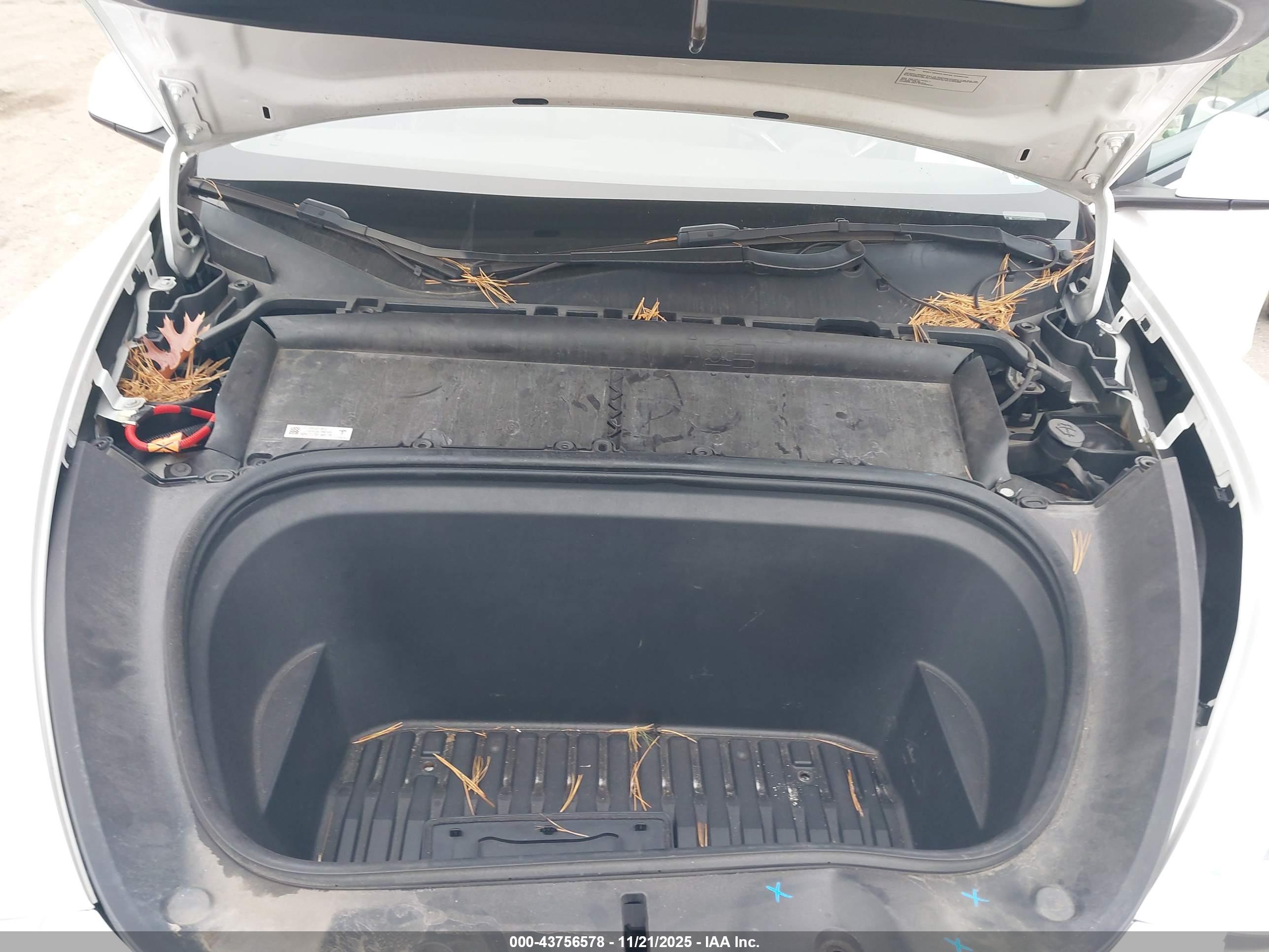 TESLA MODEL image 10