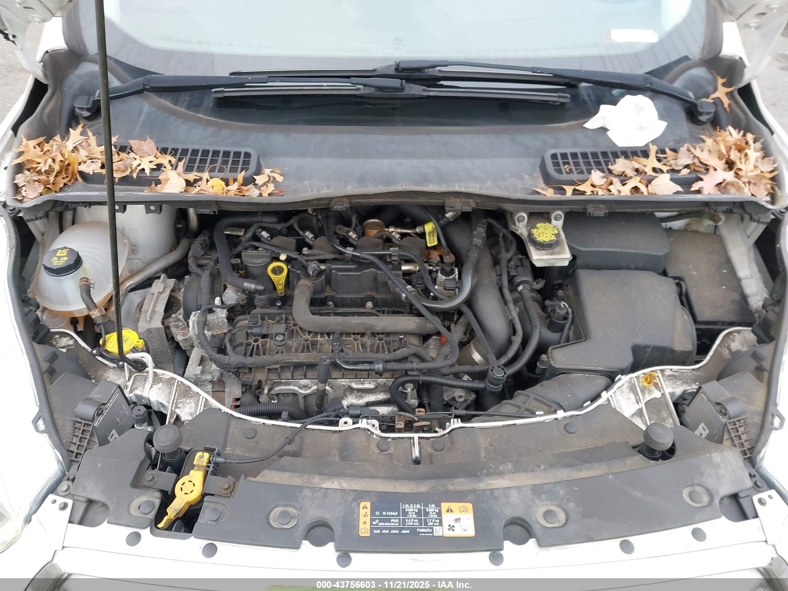 FORD ESCAPE image 10