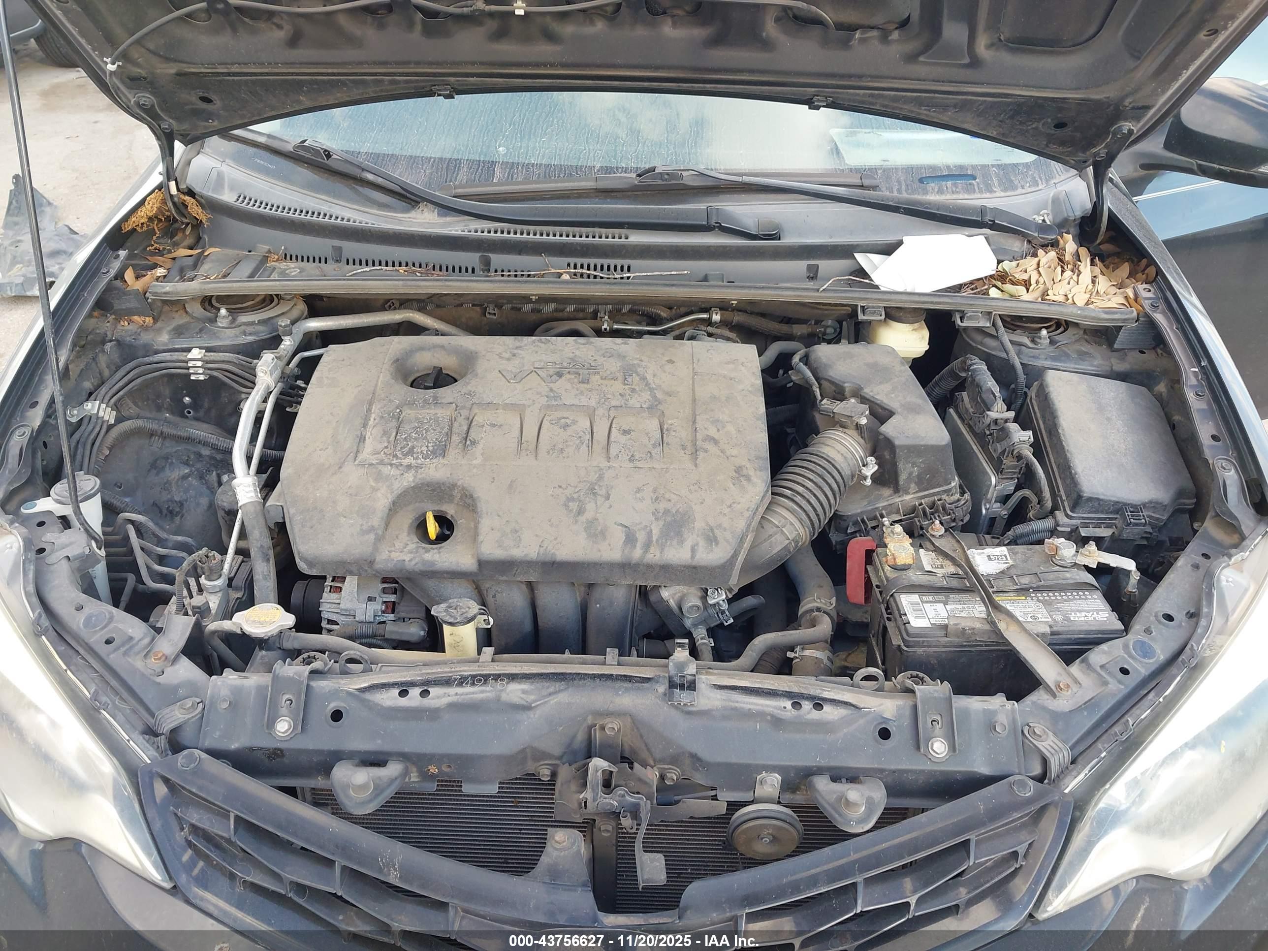 TOYOTA COROLLA image 10