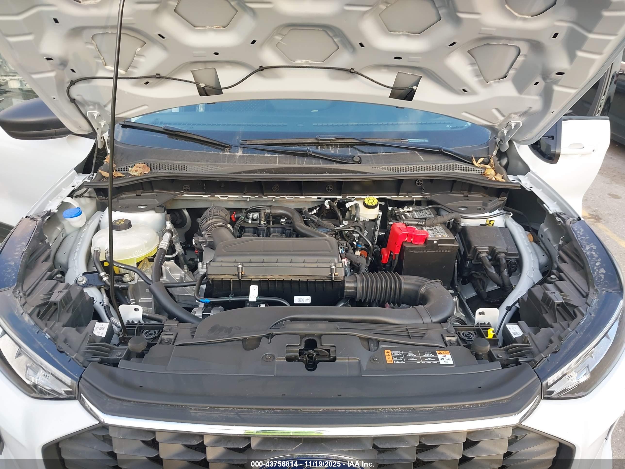 FORD ESCAPE image 10