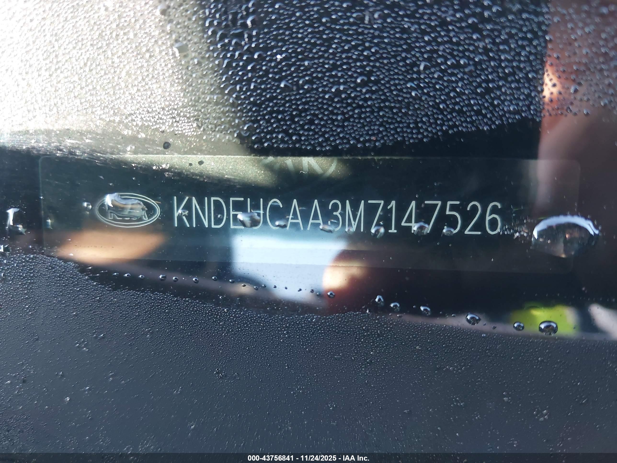 KIA SELTOS image 9