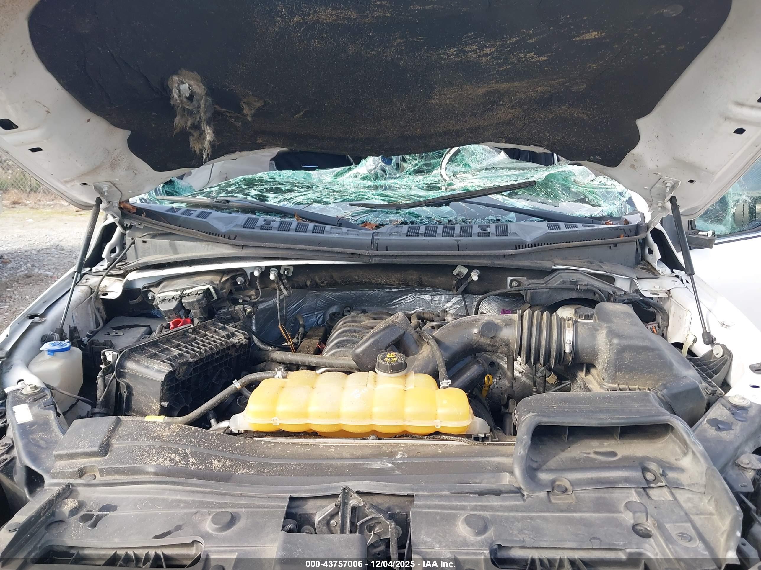 FORD F-150 image 10