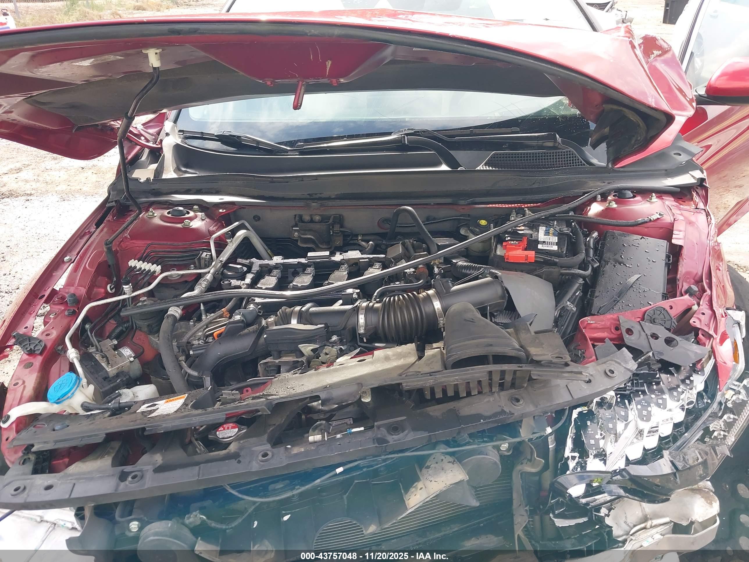 HONDA ACCORD image 10