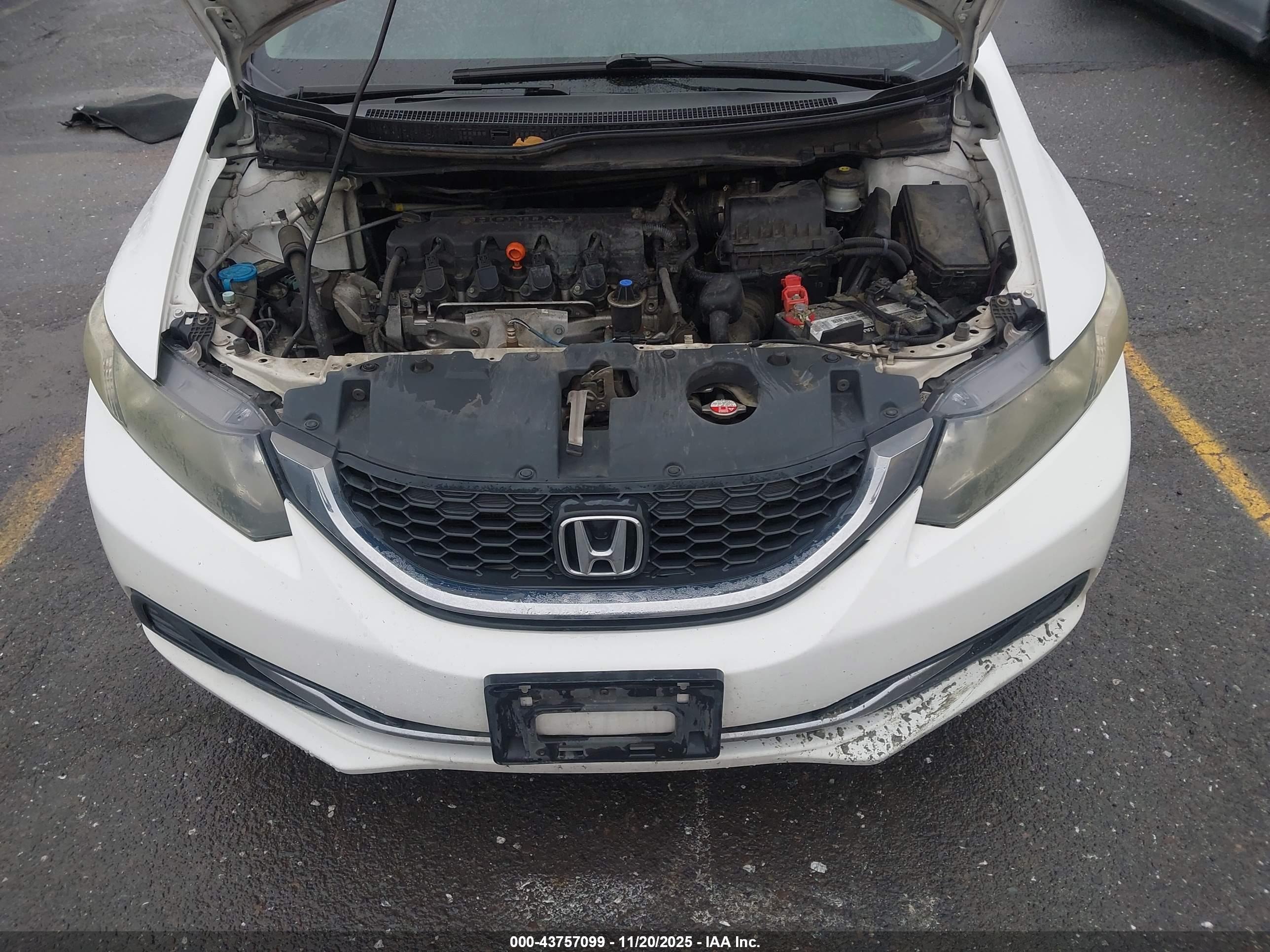HONDA CIVIC image 10