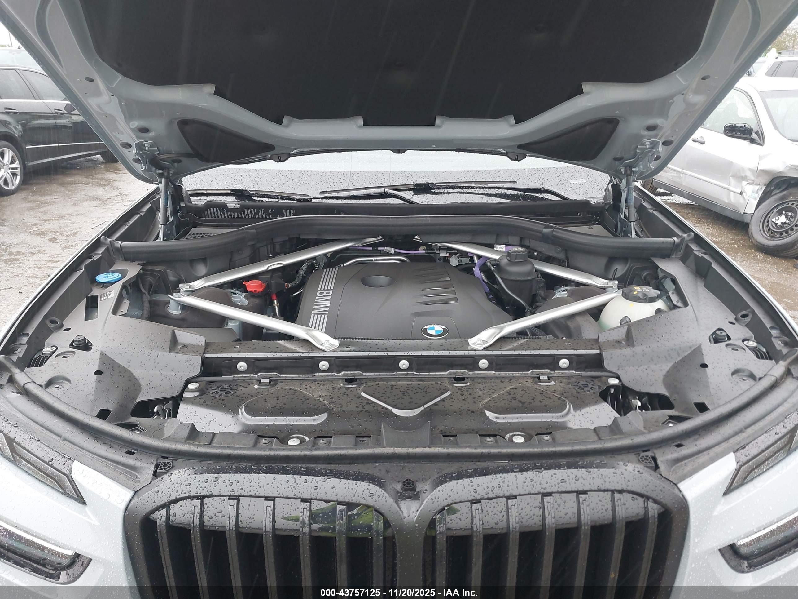 BMW X7 image 10