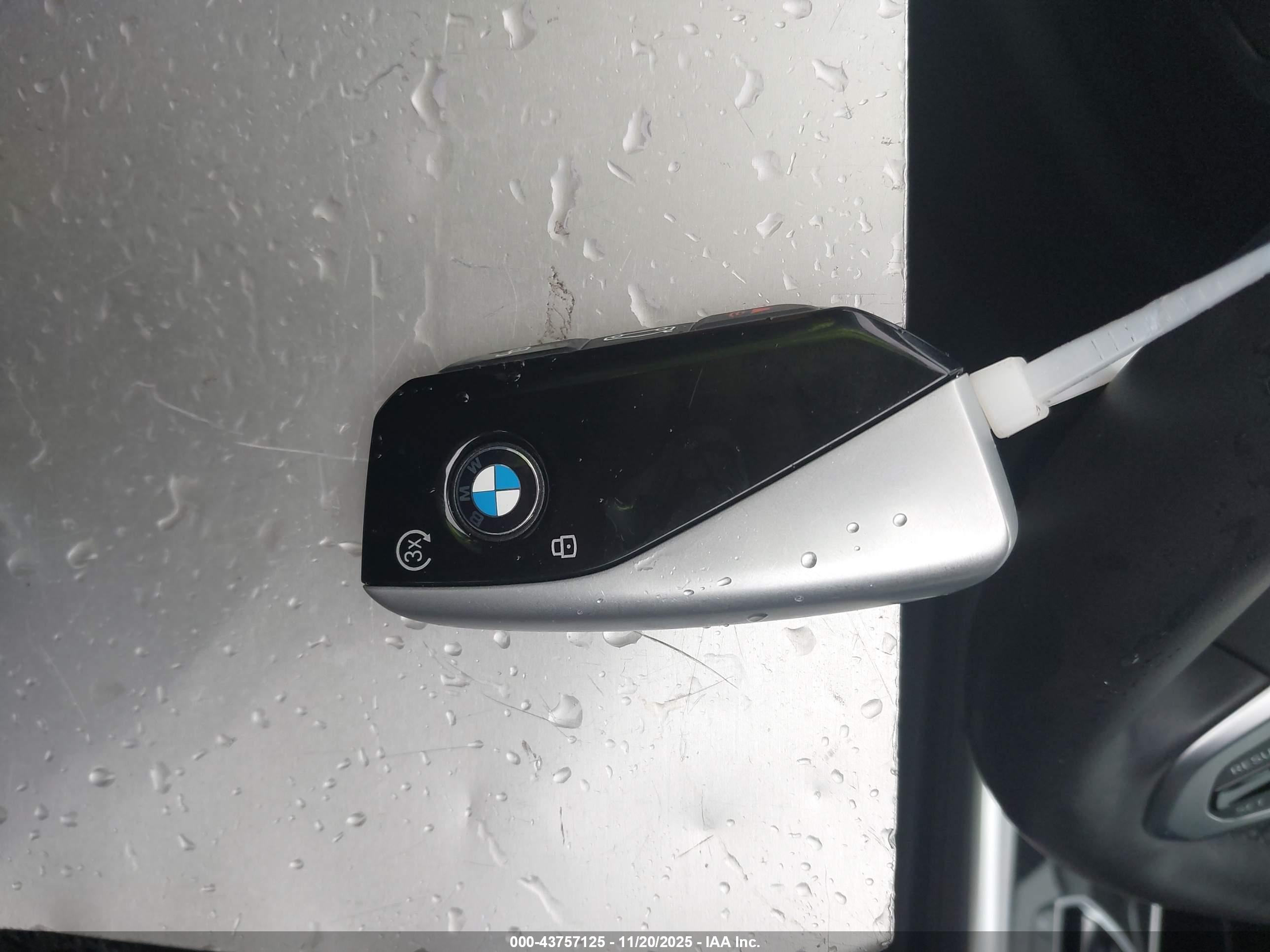 BMW X7 image 11