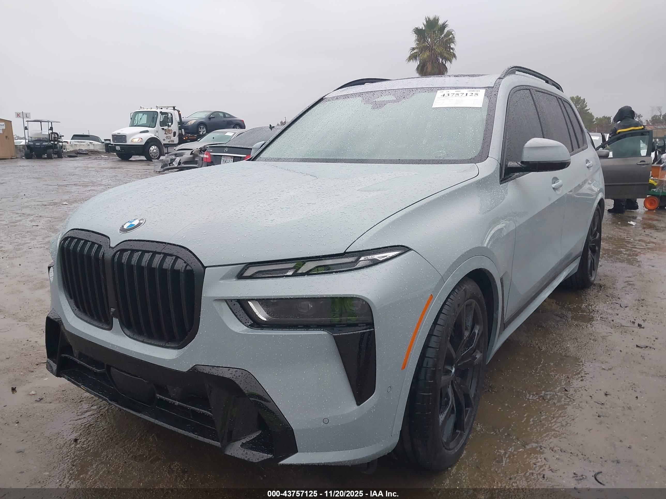 BMW X7 image 2