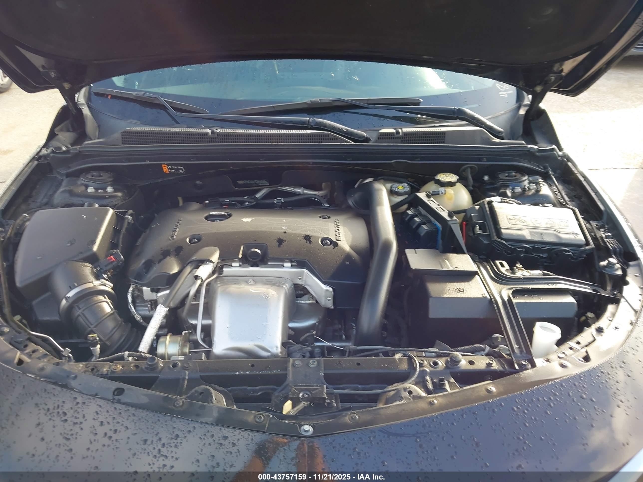 CHEVROLET MALIBU image 10