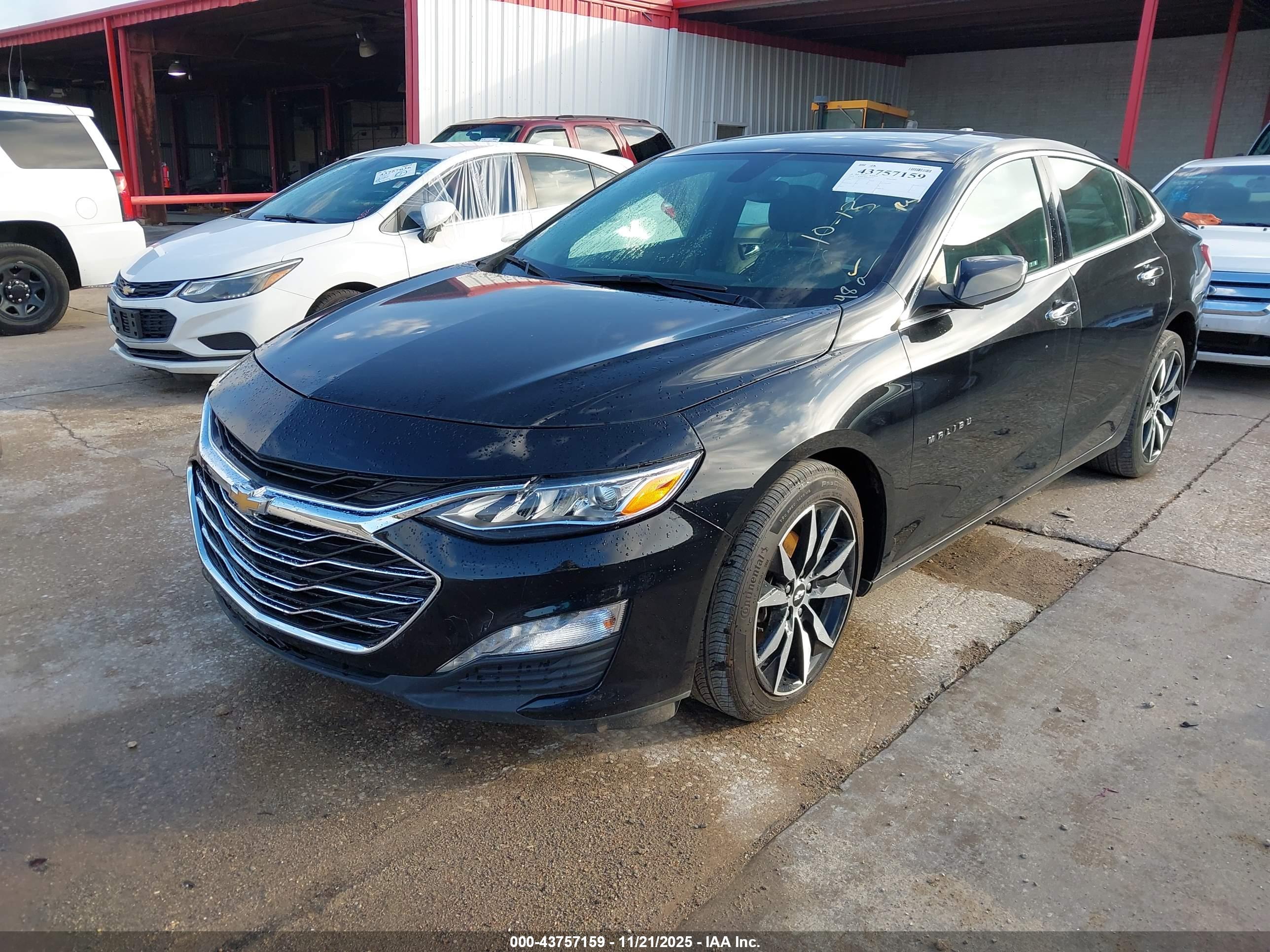 CHEVROLET MALIBU image 2