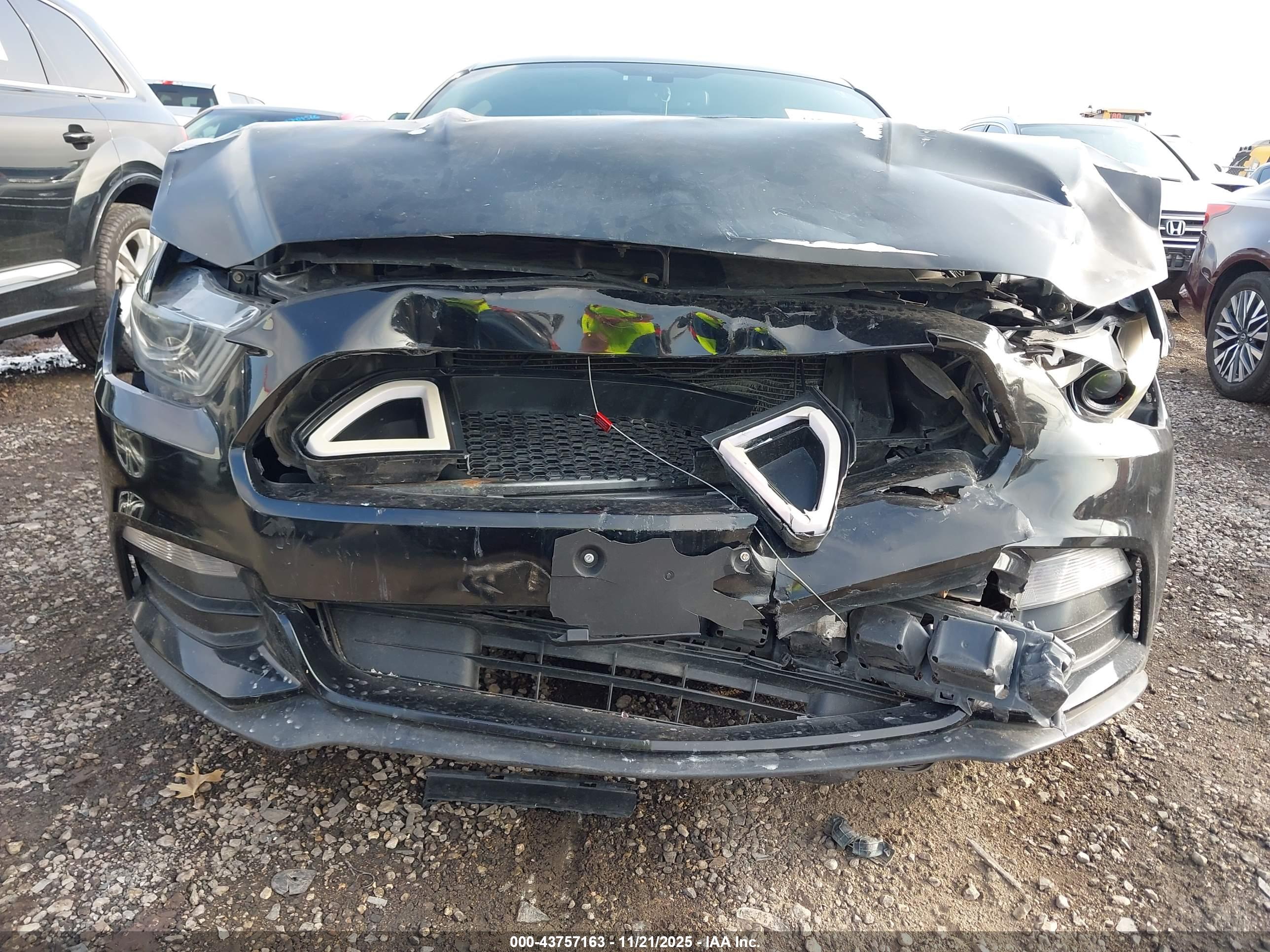 FORD MUSTANG image 6