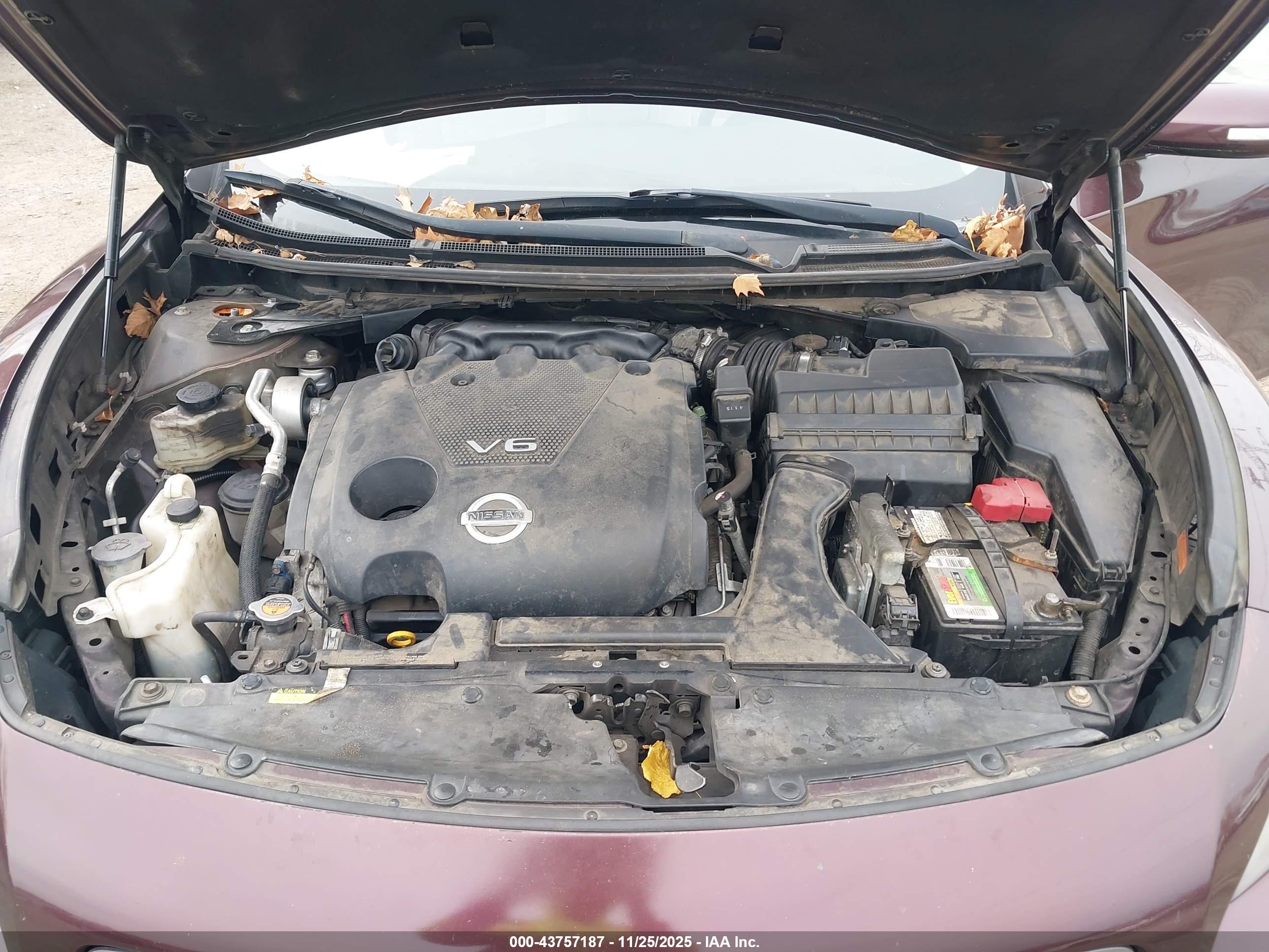 NISSAN MAXIMA image 10