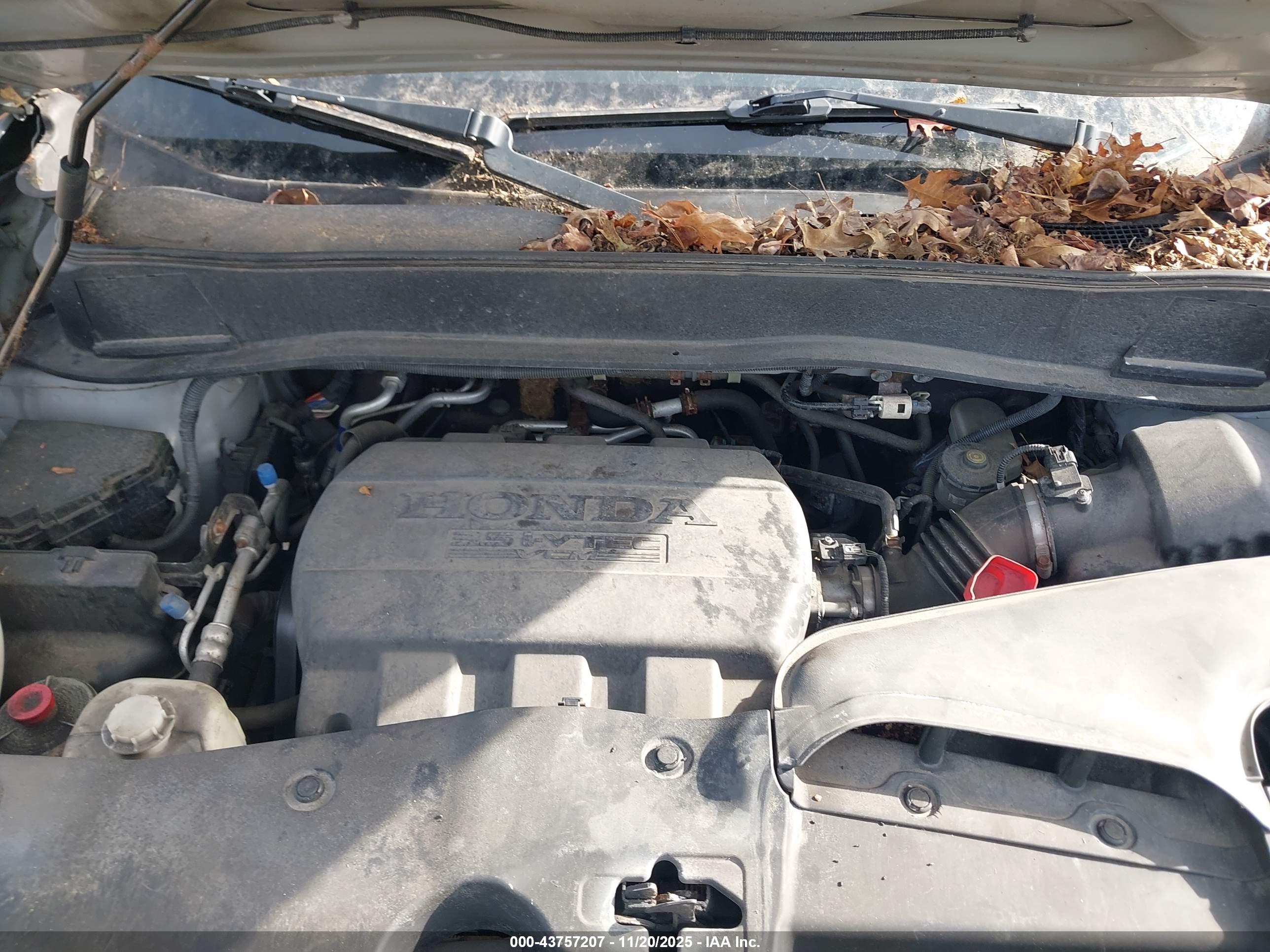 HONDA PILOT image 10