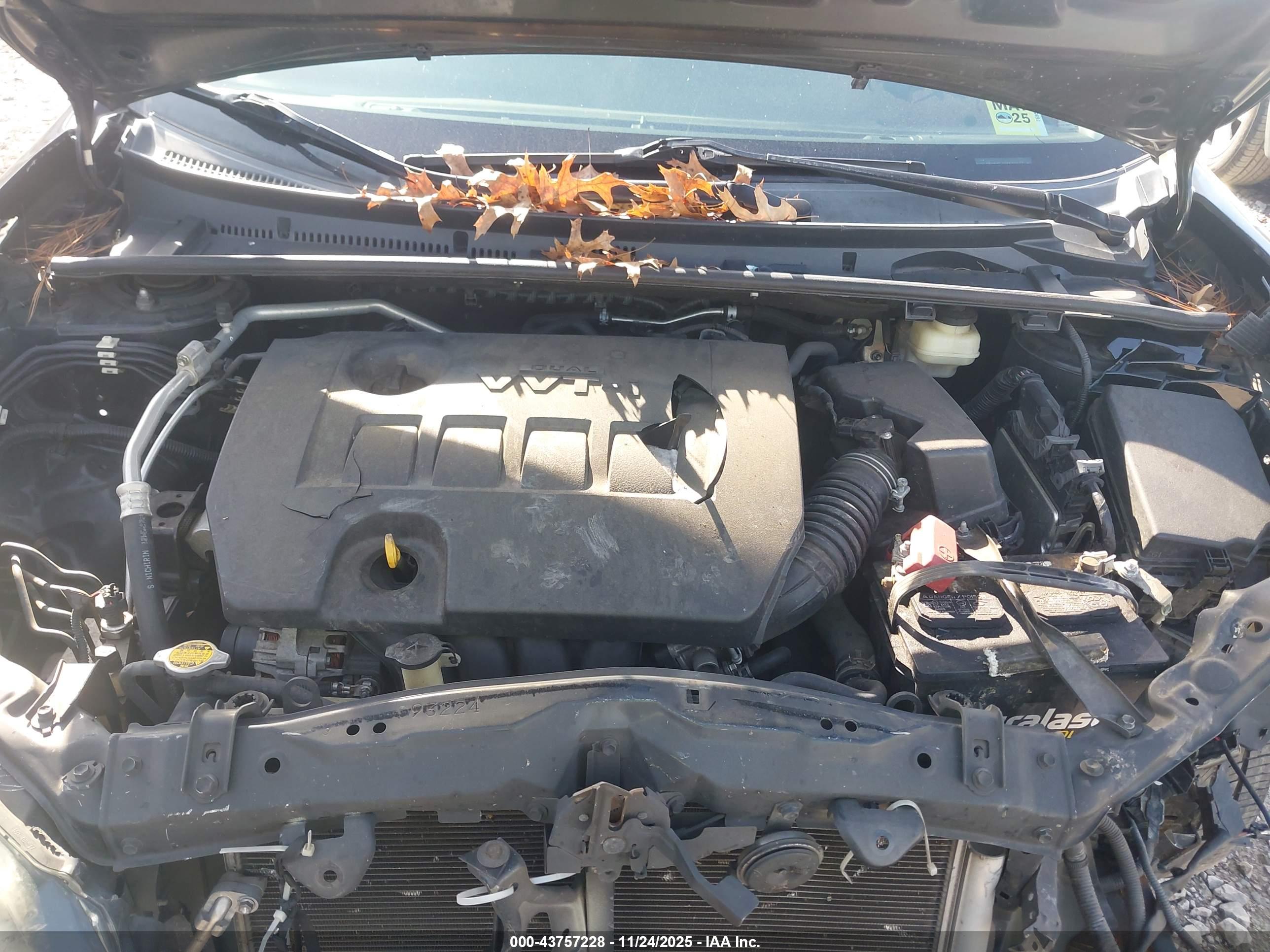 TOYOTA COROLLA image 10