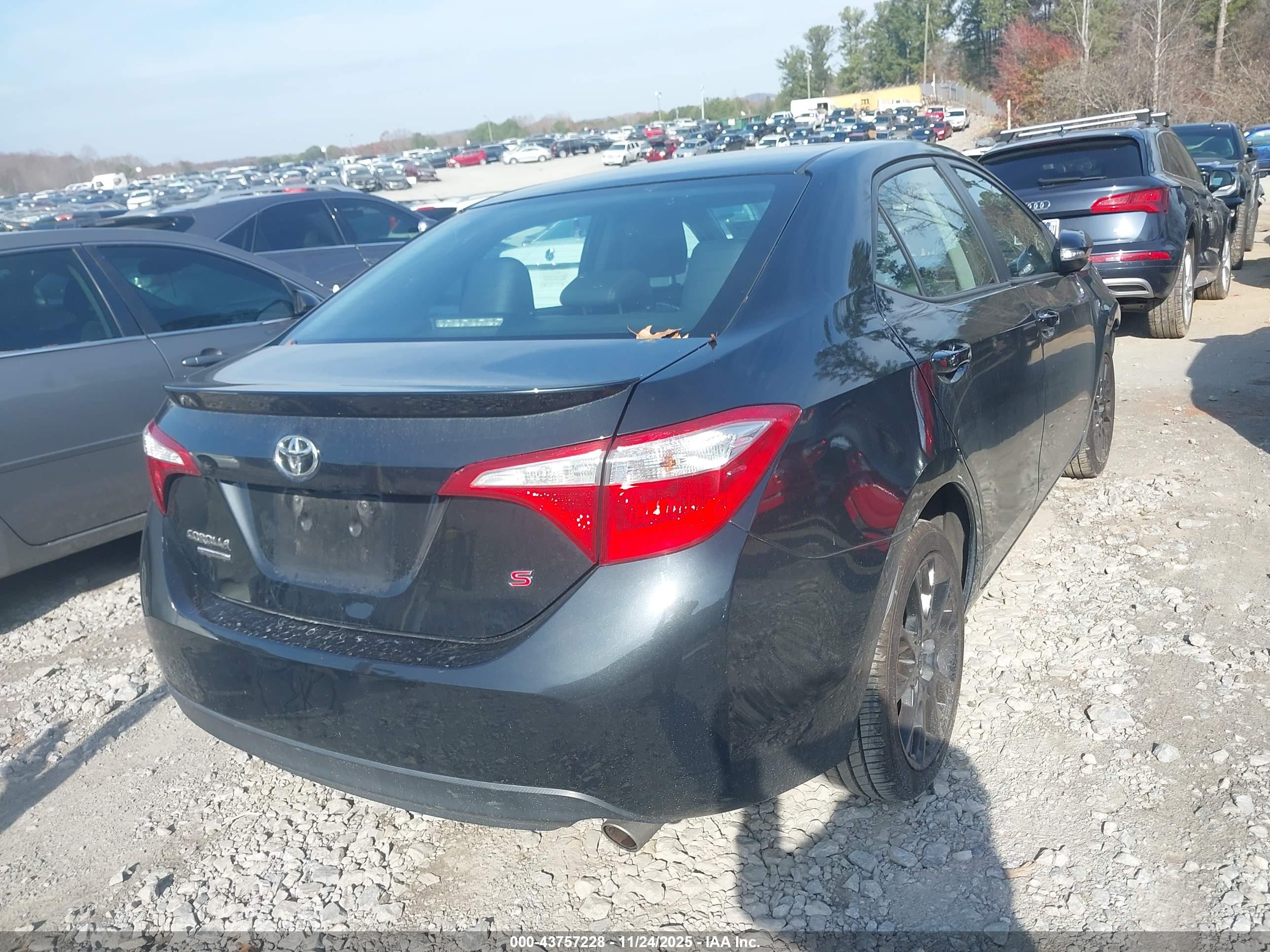 TOYOTA COROLLA image 4