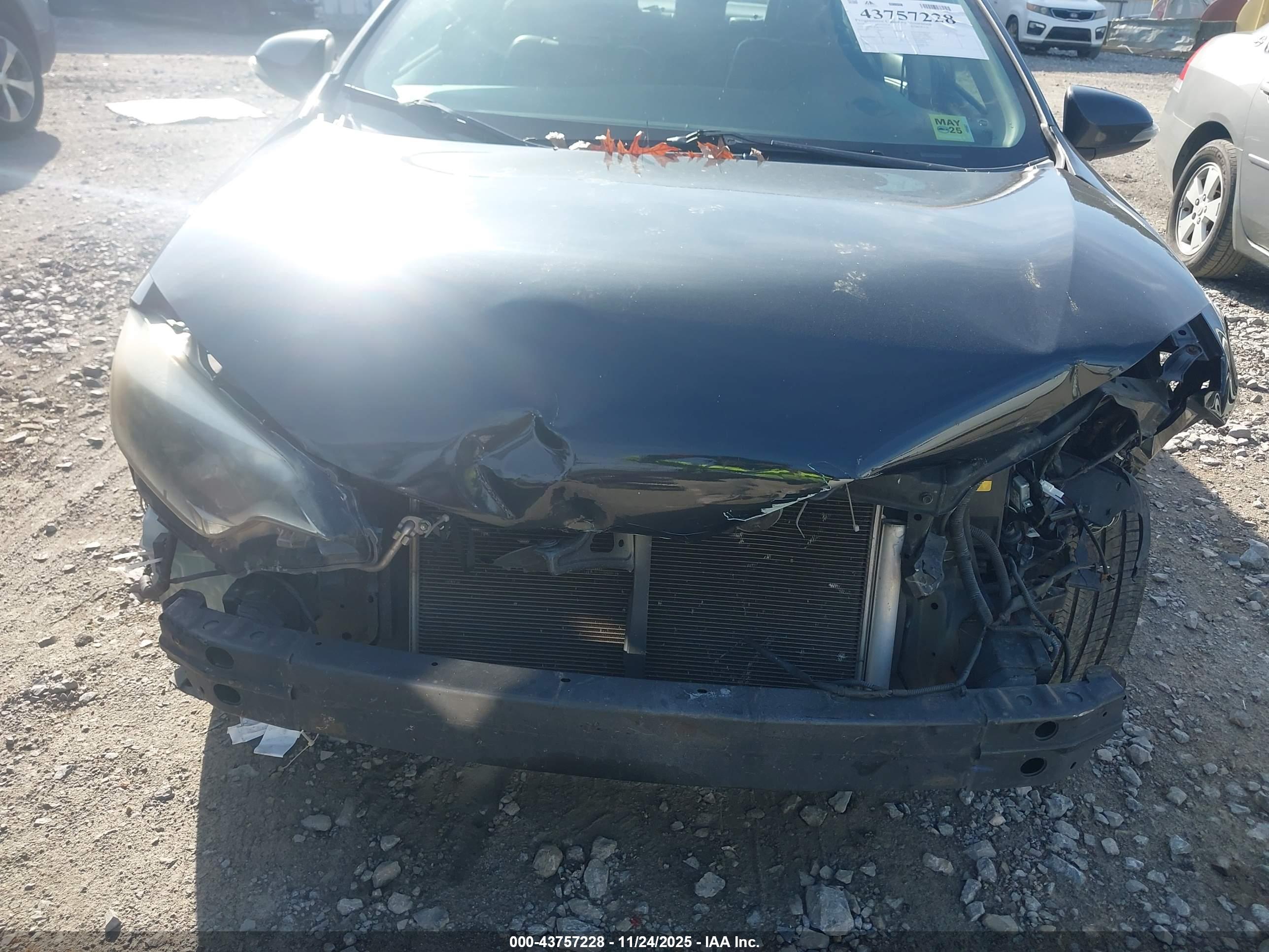 TOYOTA COROLLA image 6