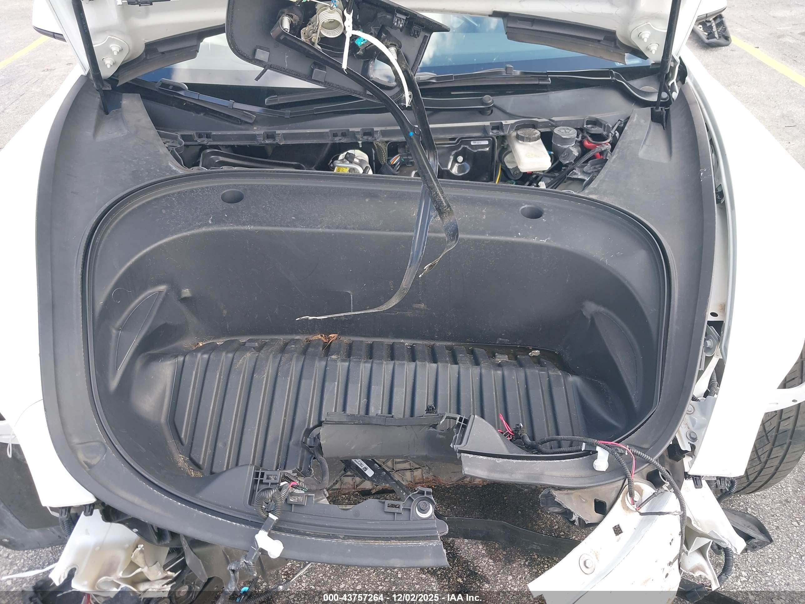 TESLA MODEL image 10