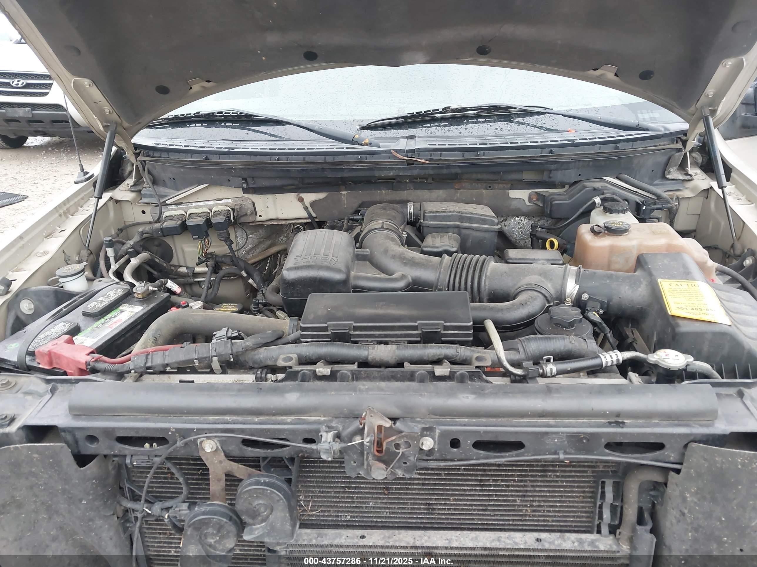 FORD F-150 image 10