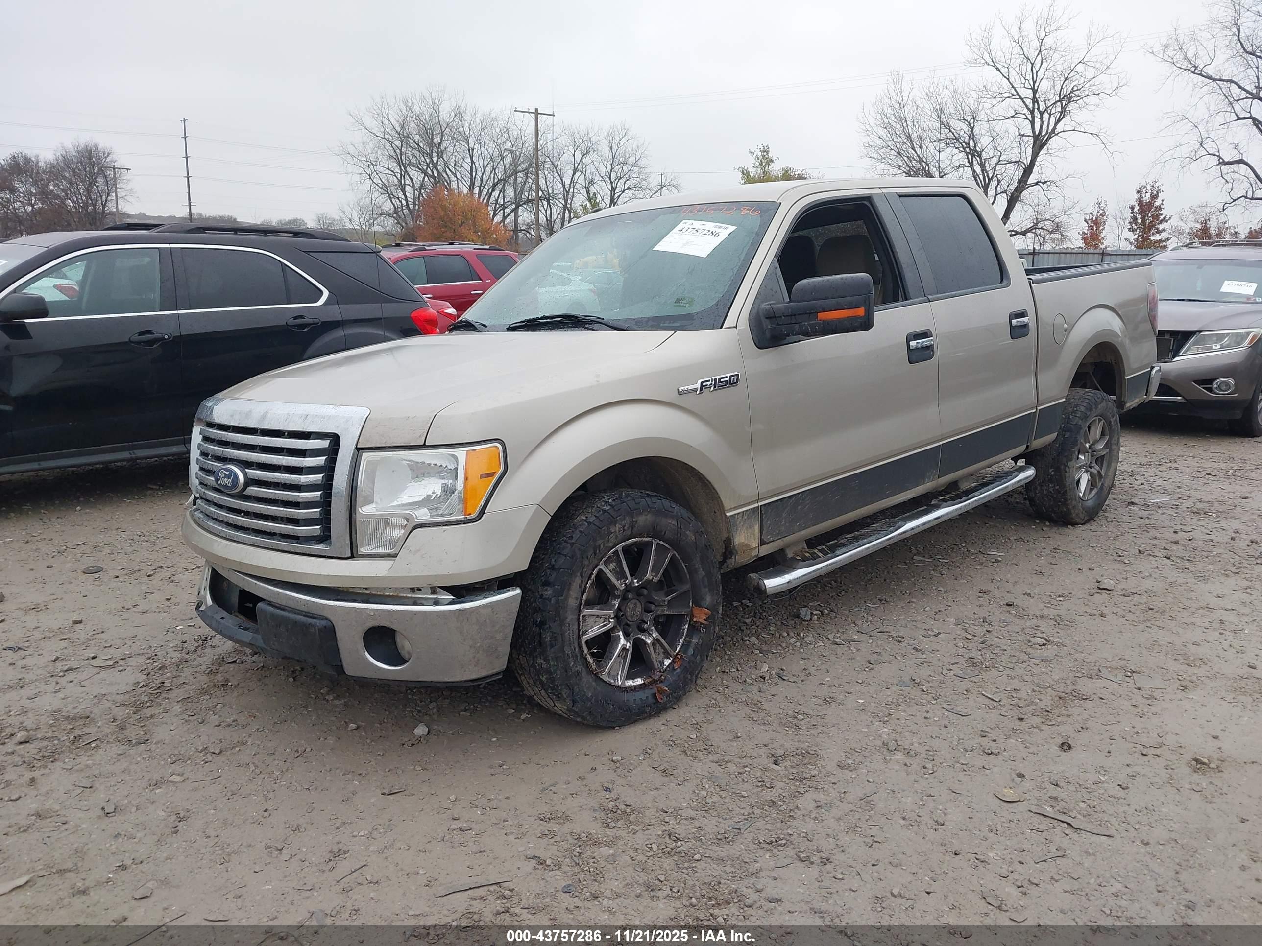 FORD F-150 image 2