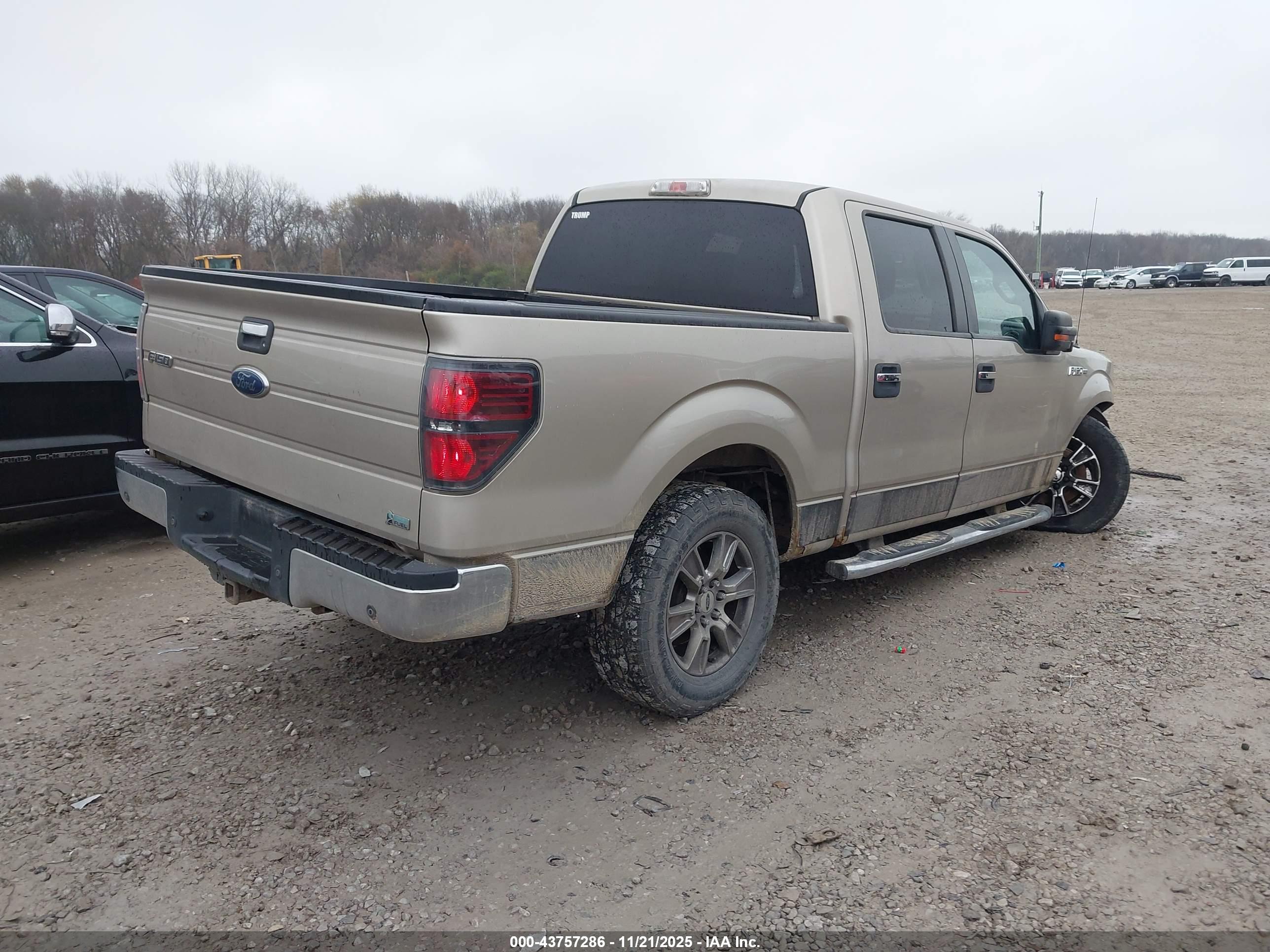 FORD F-150 image 4