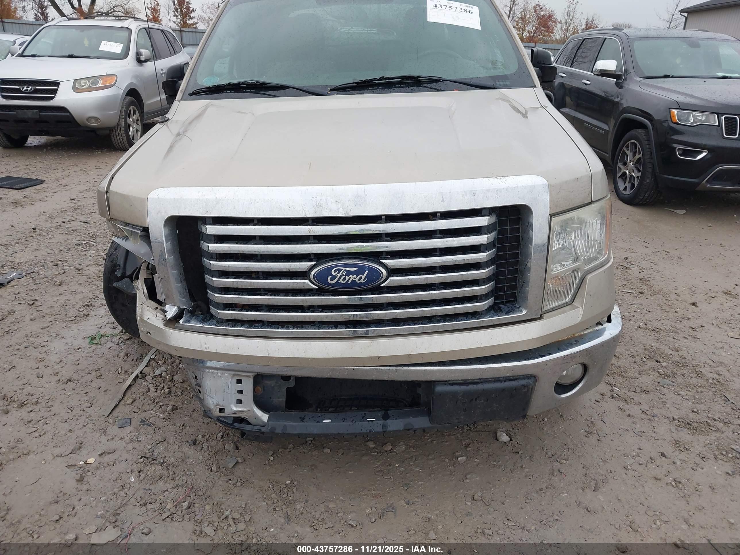 FORD F-150 image 6