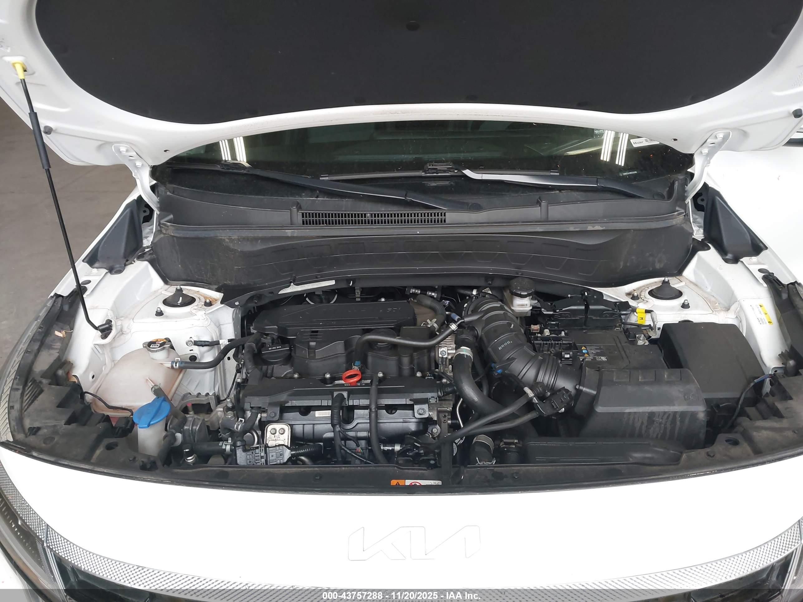 KIA SELTOS image 10