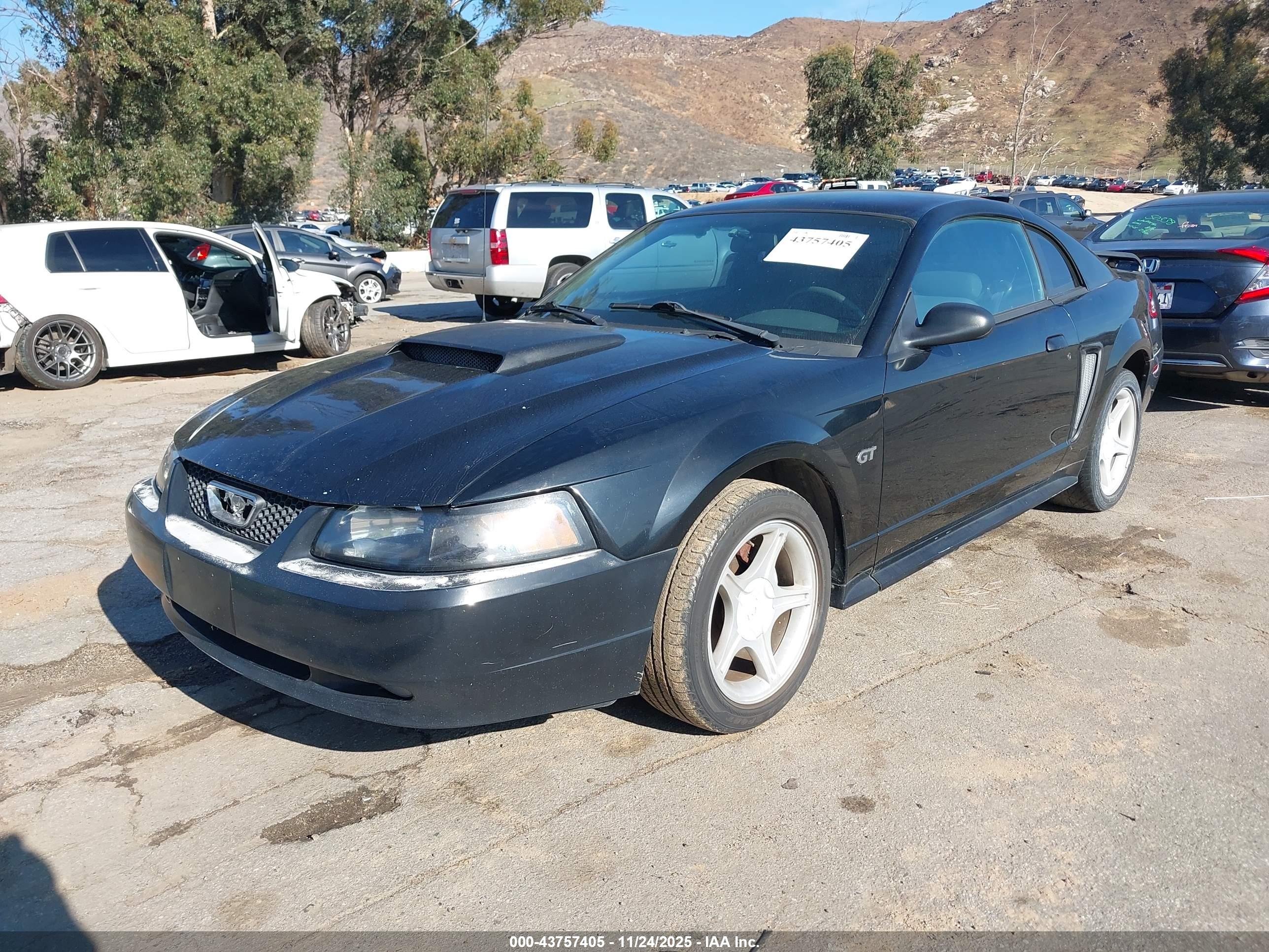 FORD MUSTANG image 2