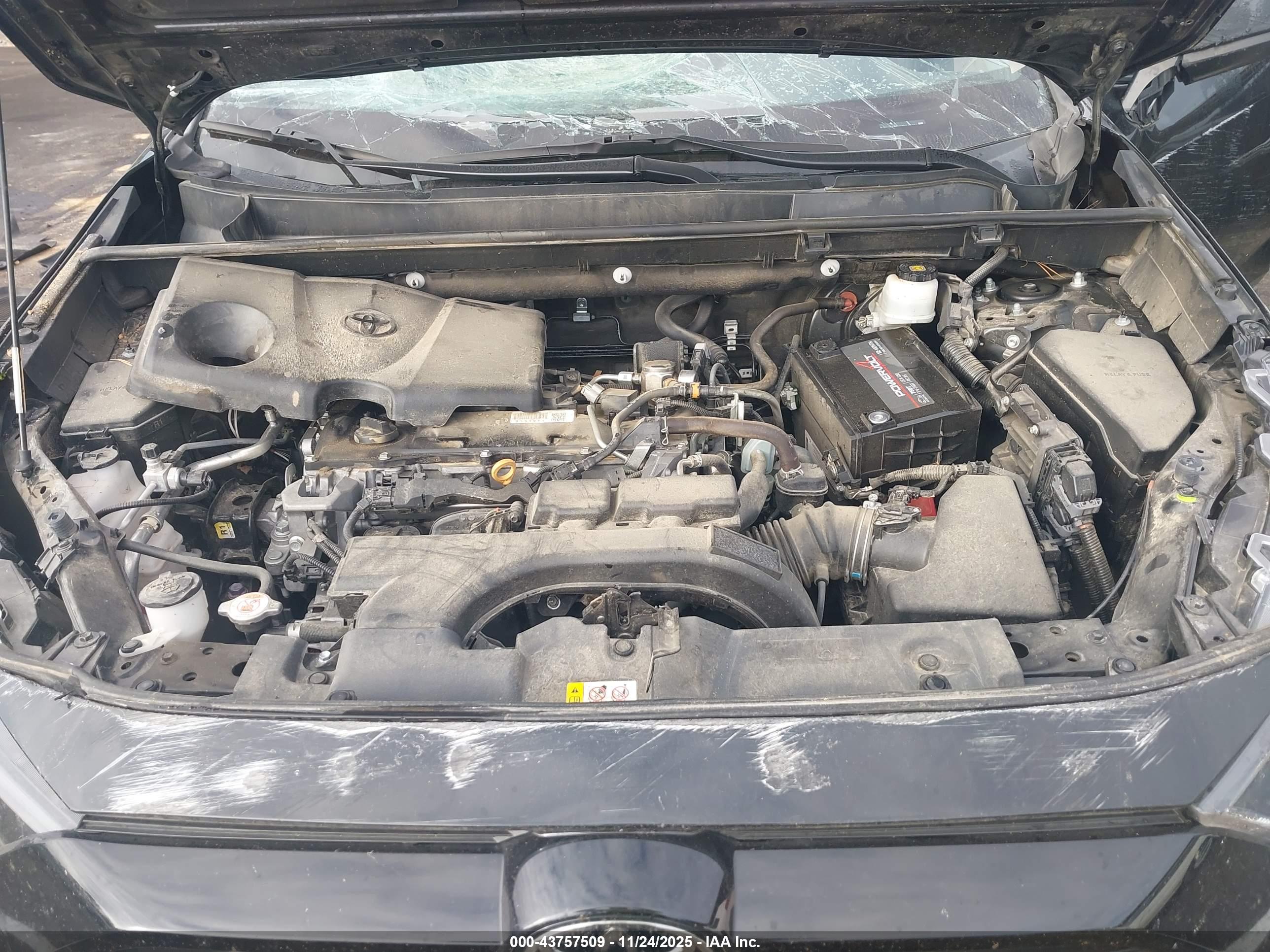 TOYOTA RAV4 image 10