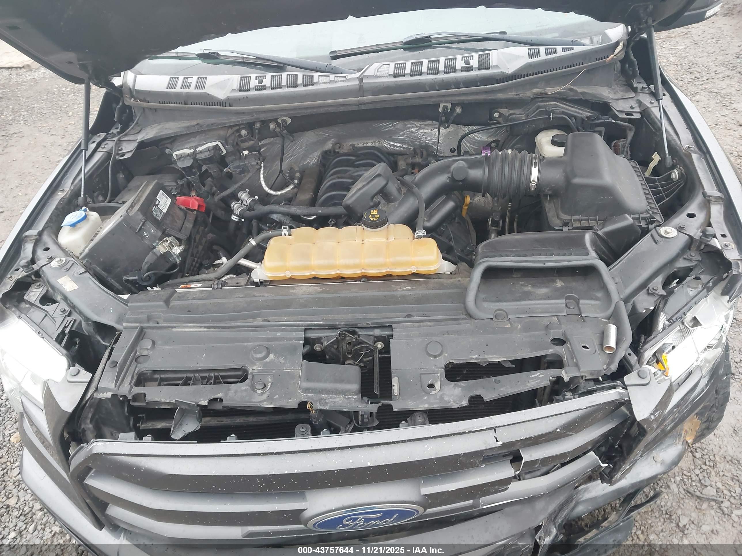 FORD F-150 image 10