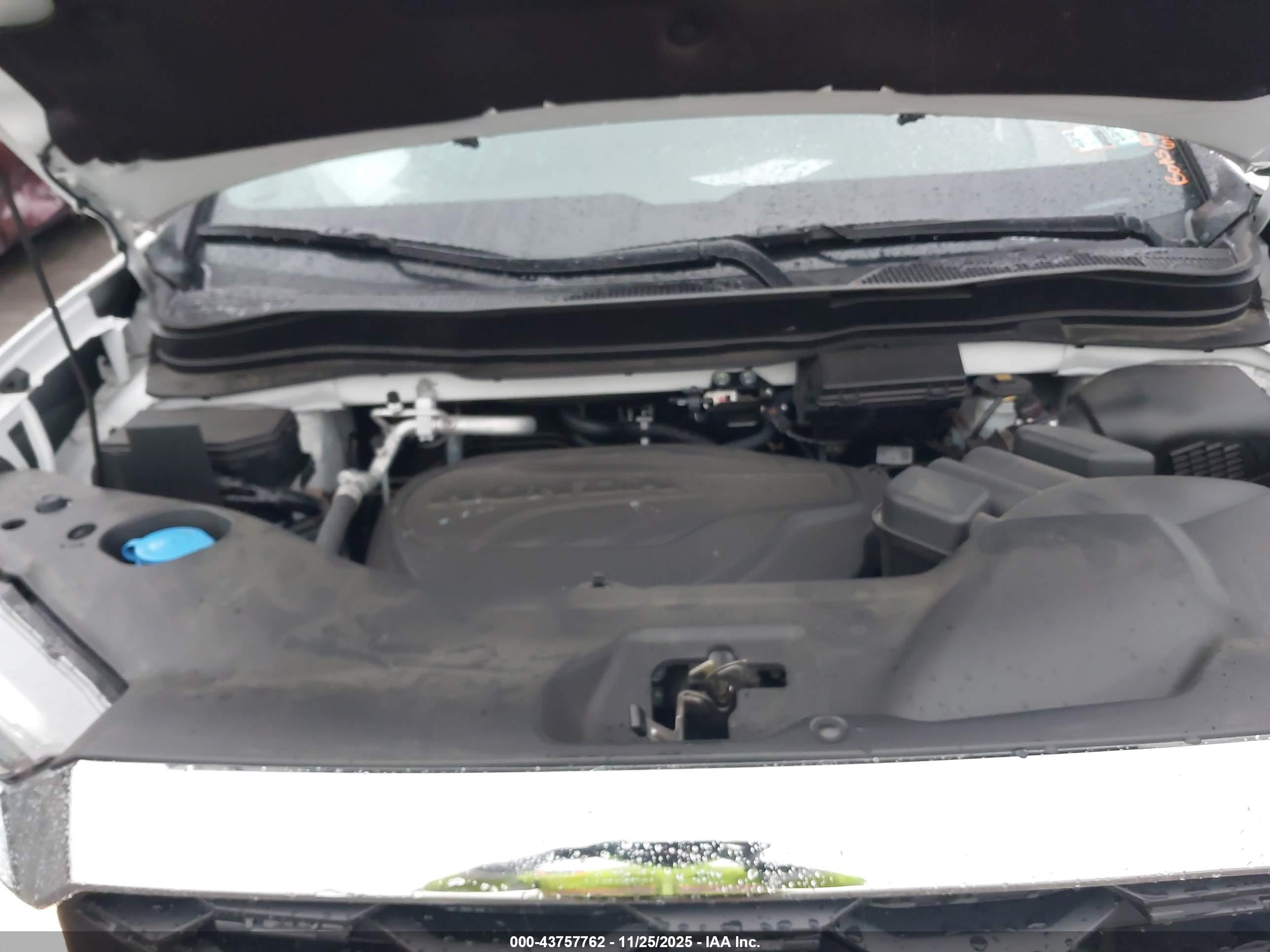HONDA PASSPORT image 10