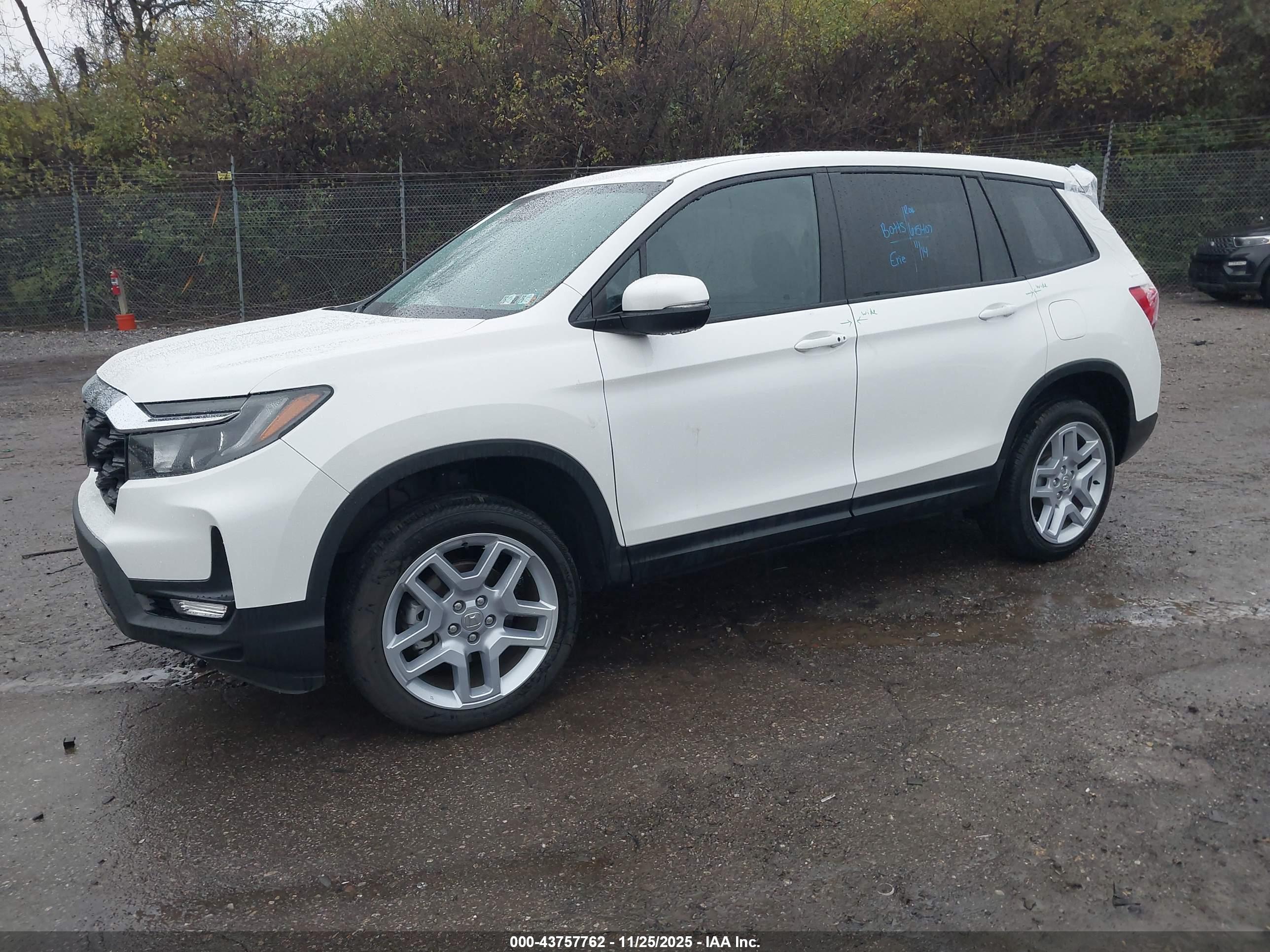 HONDA PASSPORT image 2