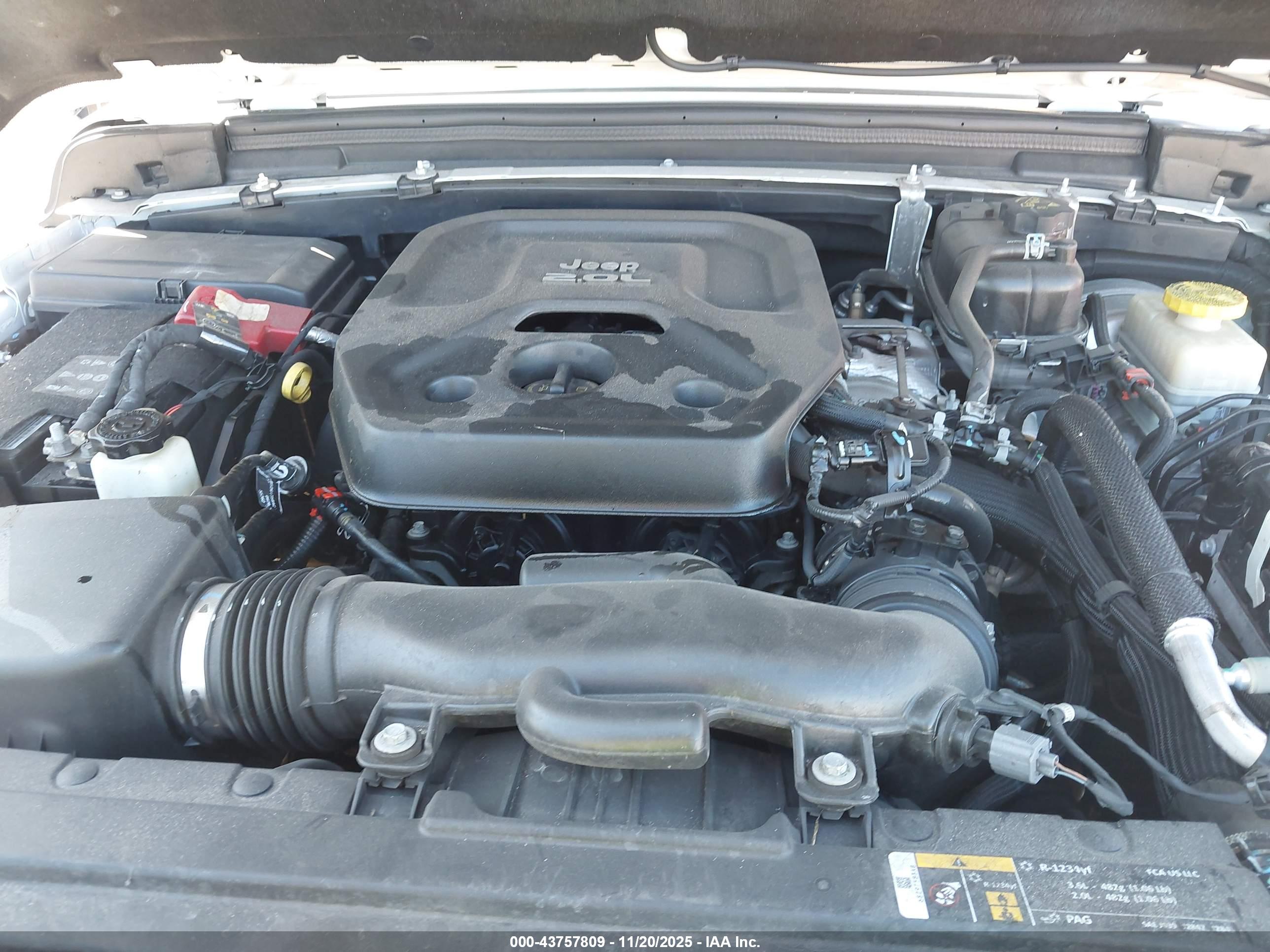 JEEP WRANGLER image 10