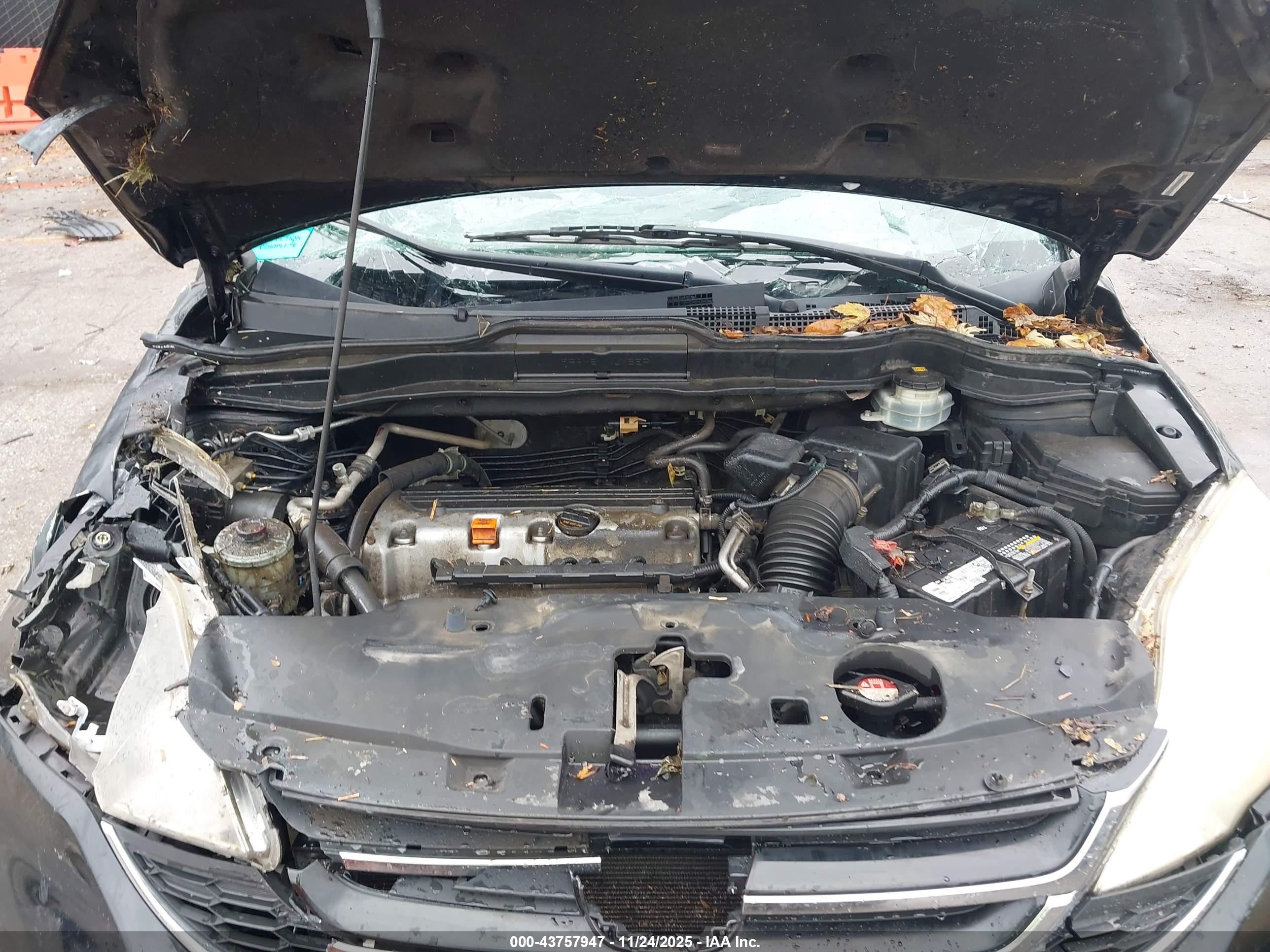 HONDA CR-V image 10