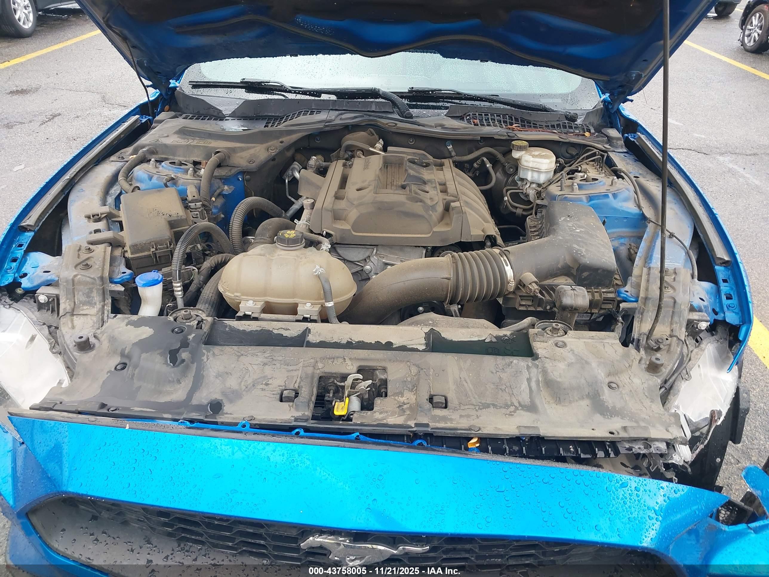 FORD MUSTANG image 10