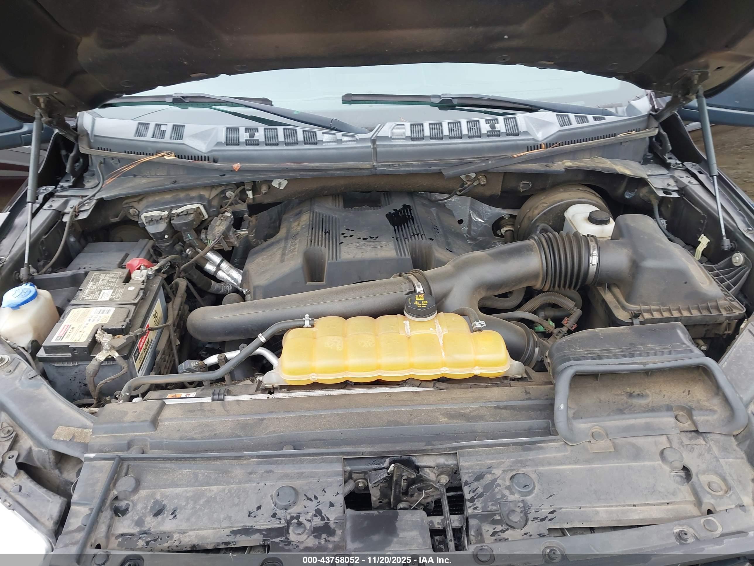 FORD F-150 image 10