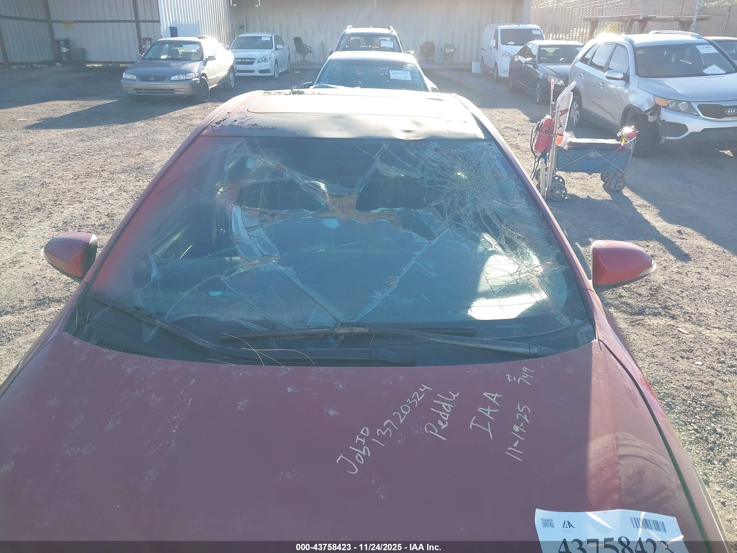 TOYOTA COROLLA image 6
