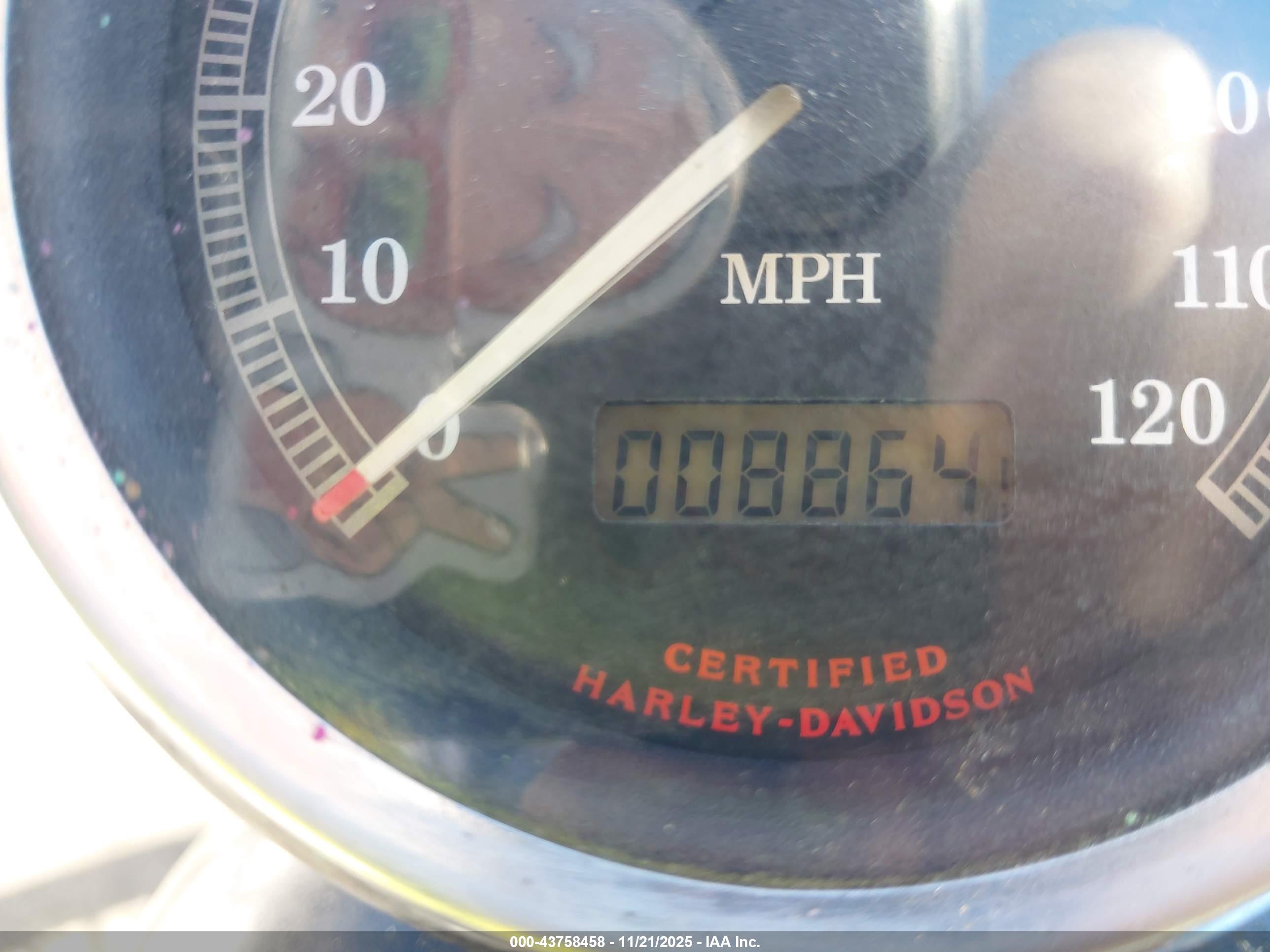 HARLEY-DAVIDSON XL883 image 7