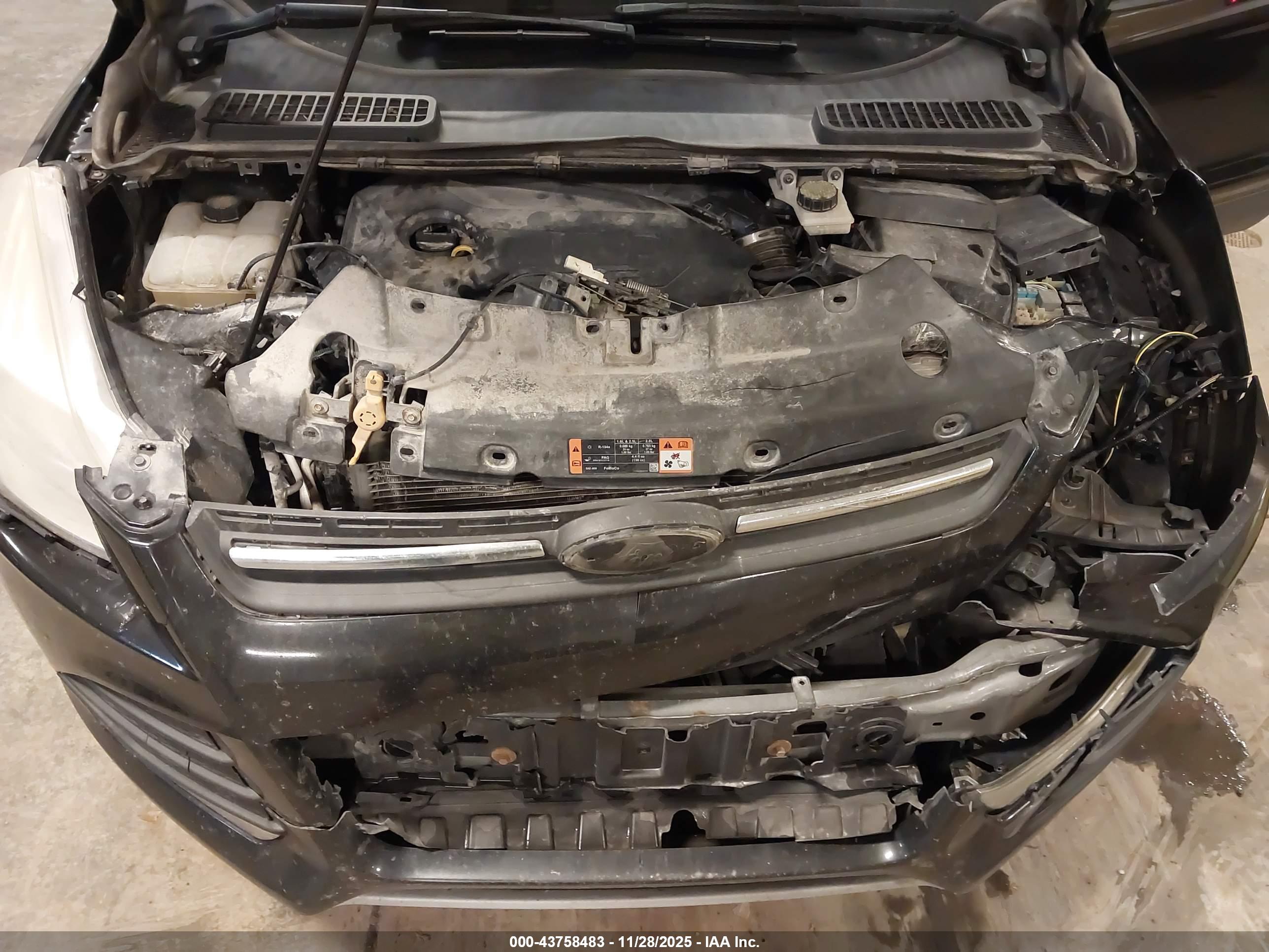 FORD ESCAPE image 10