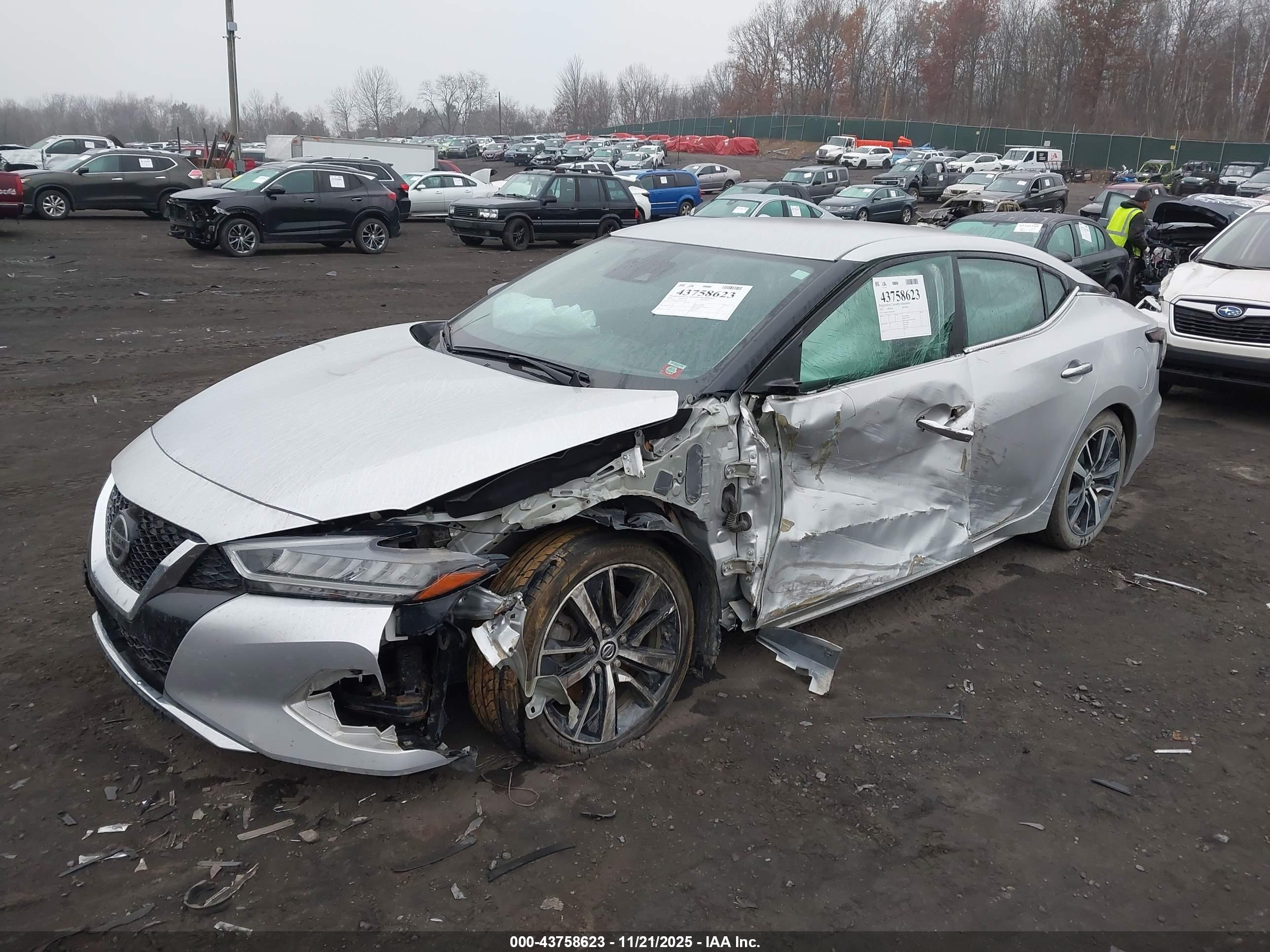 NISSAN MAXIMA image 2