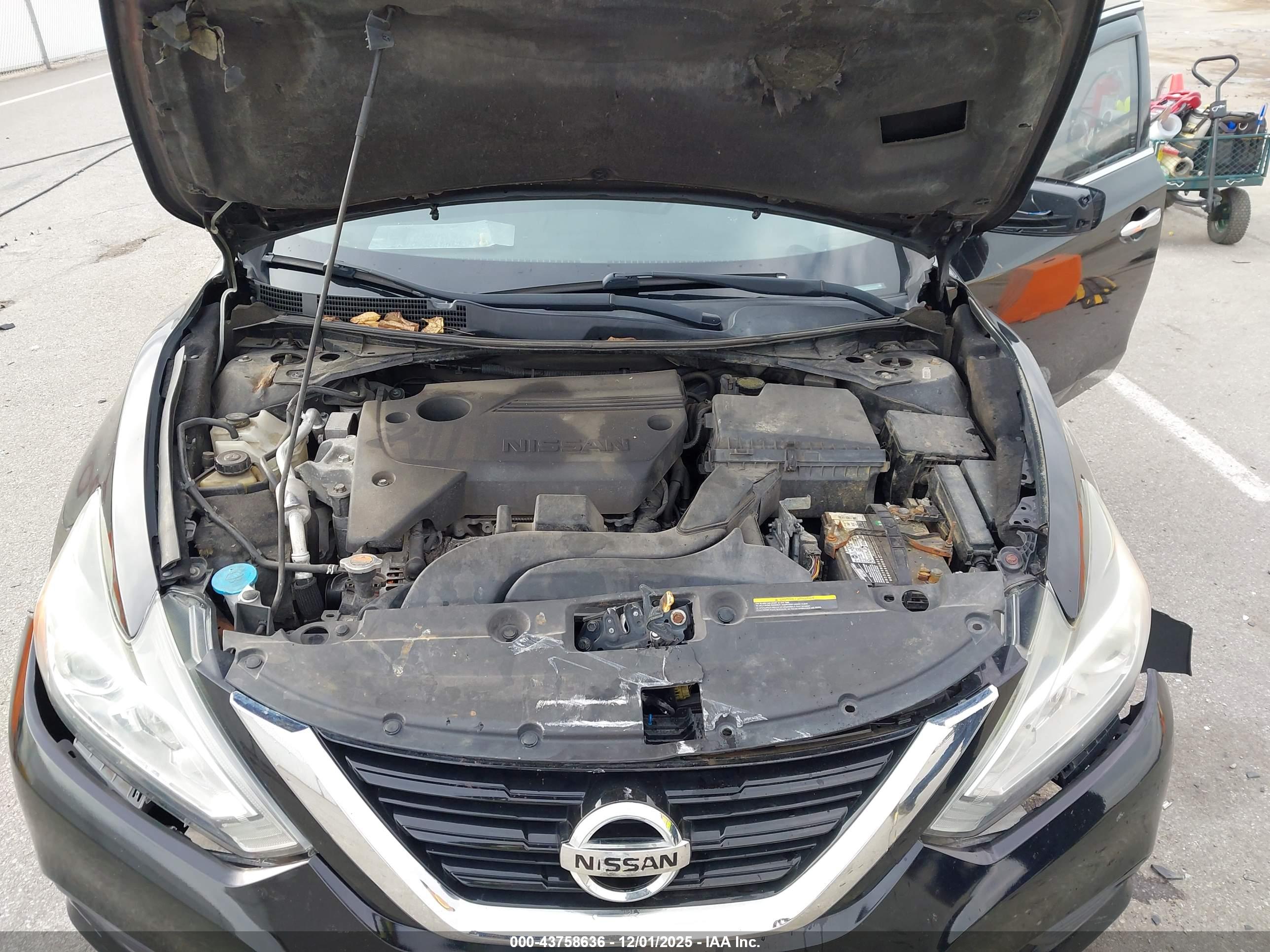 NISSAN ALTIMA image 10