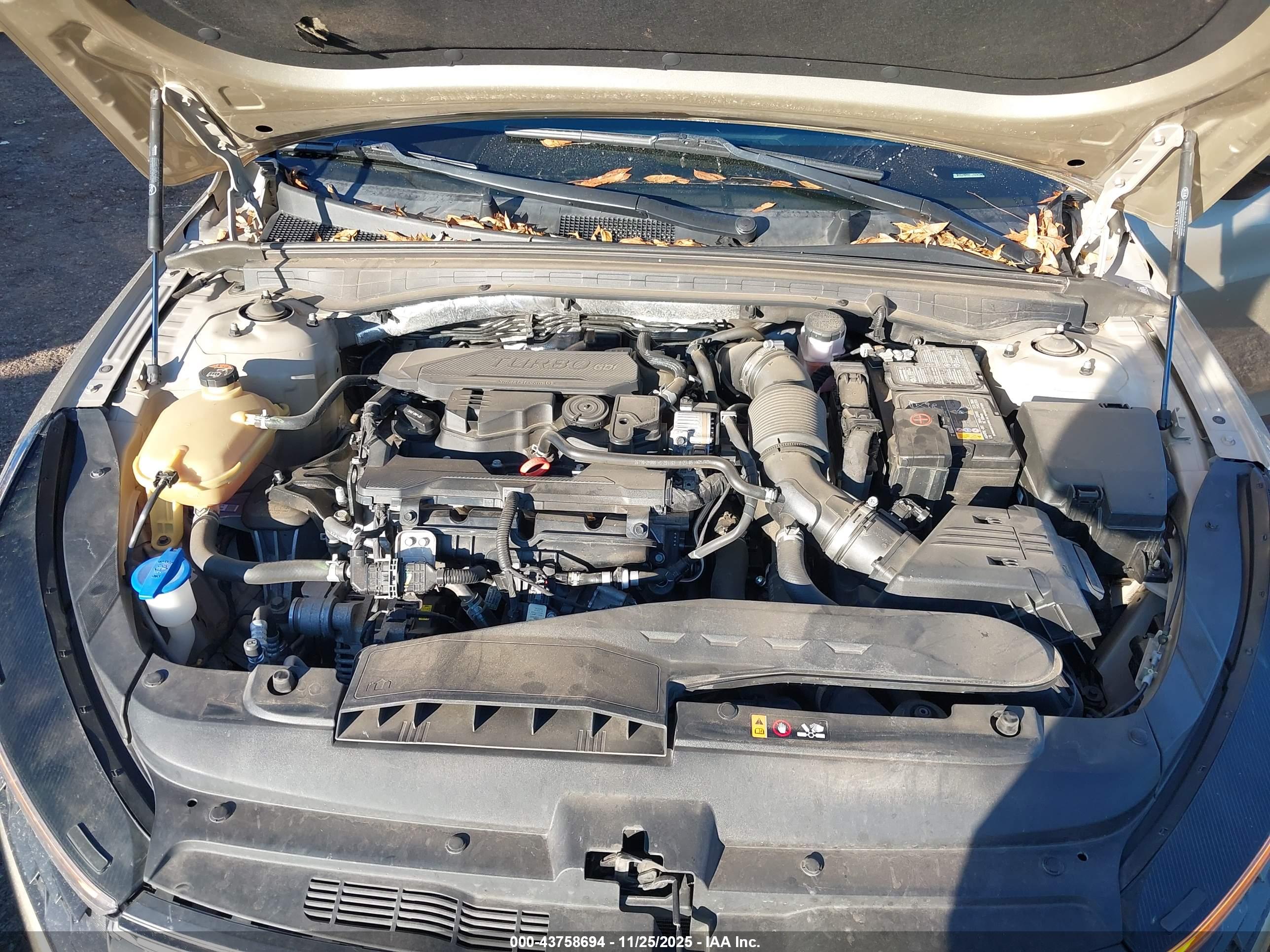 KIA K5 image 10