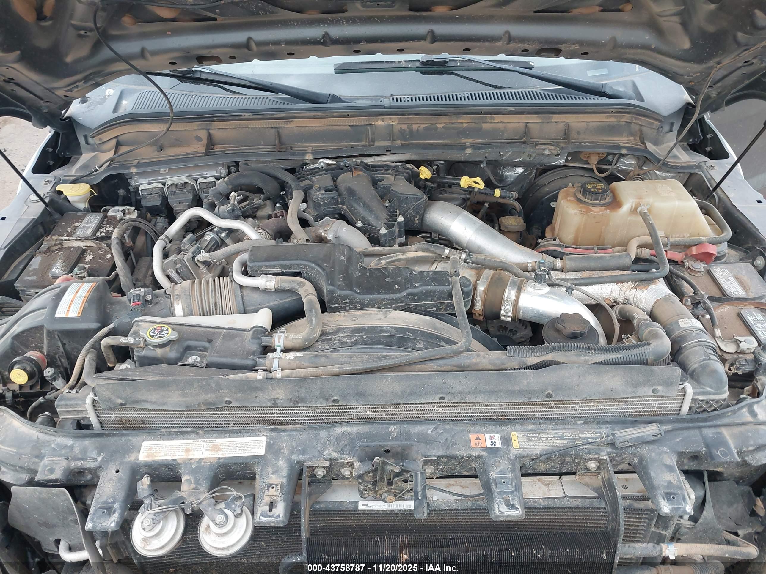 FORD F-250 image 10