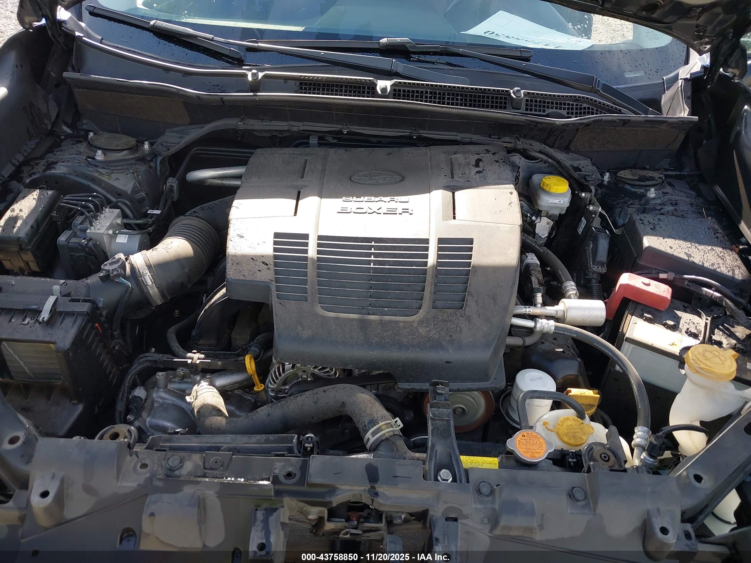 SUBARU FORESTER image 10