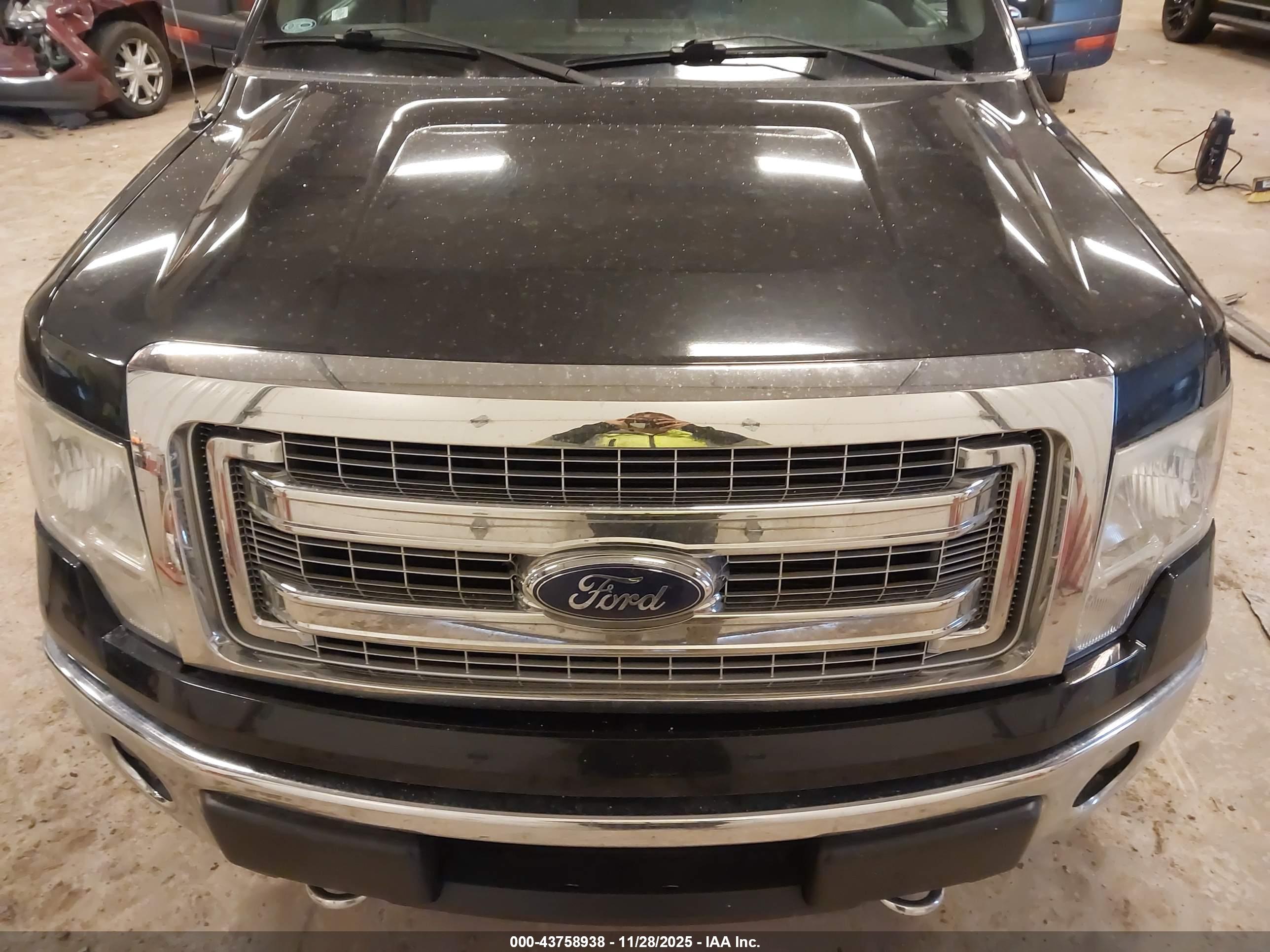 FORD F-150 image 6