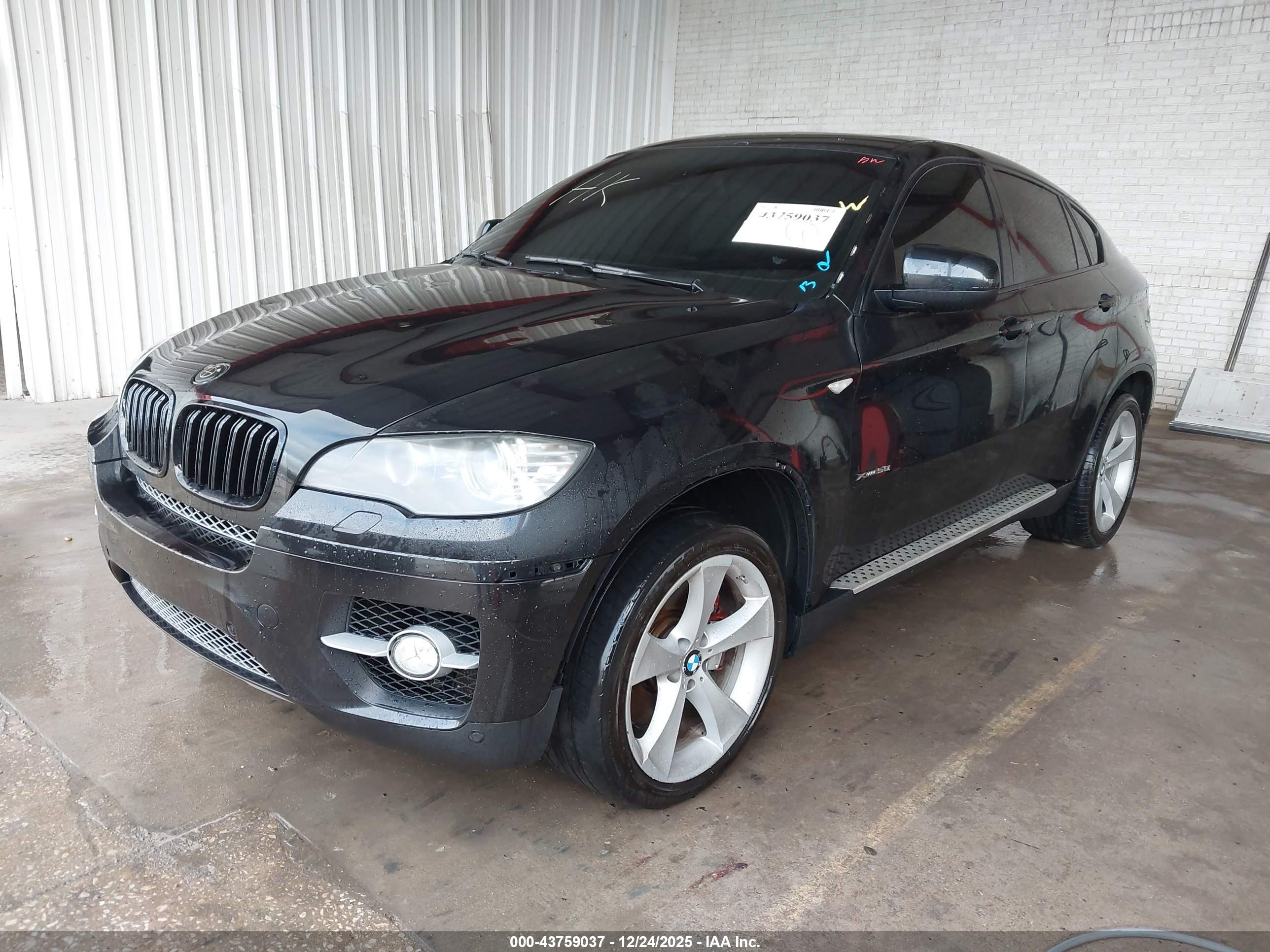 BMW X6 image 2