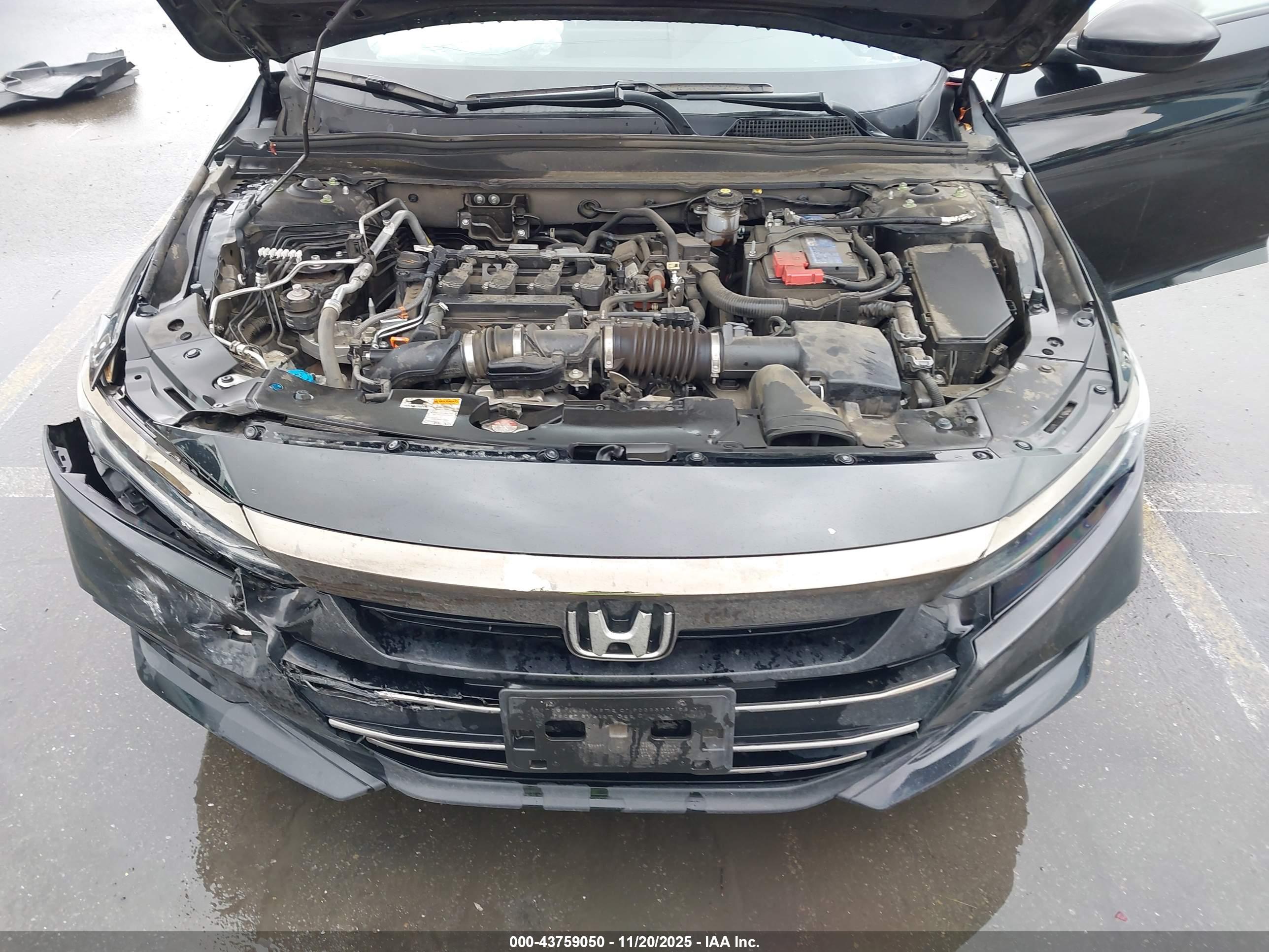 HONDA ACCORD image 10